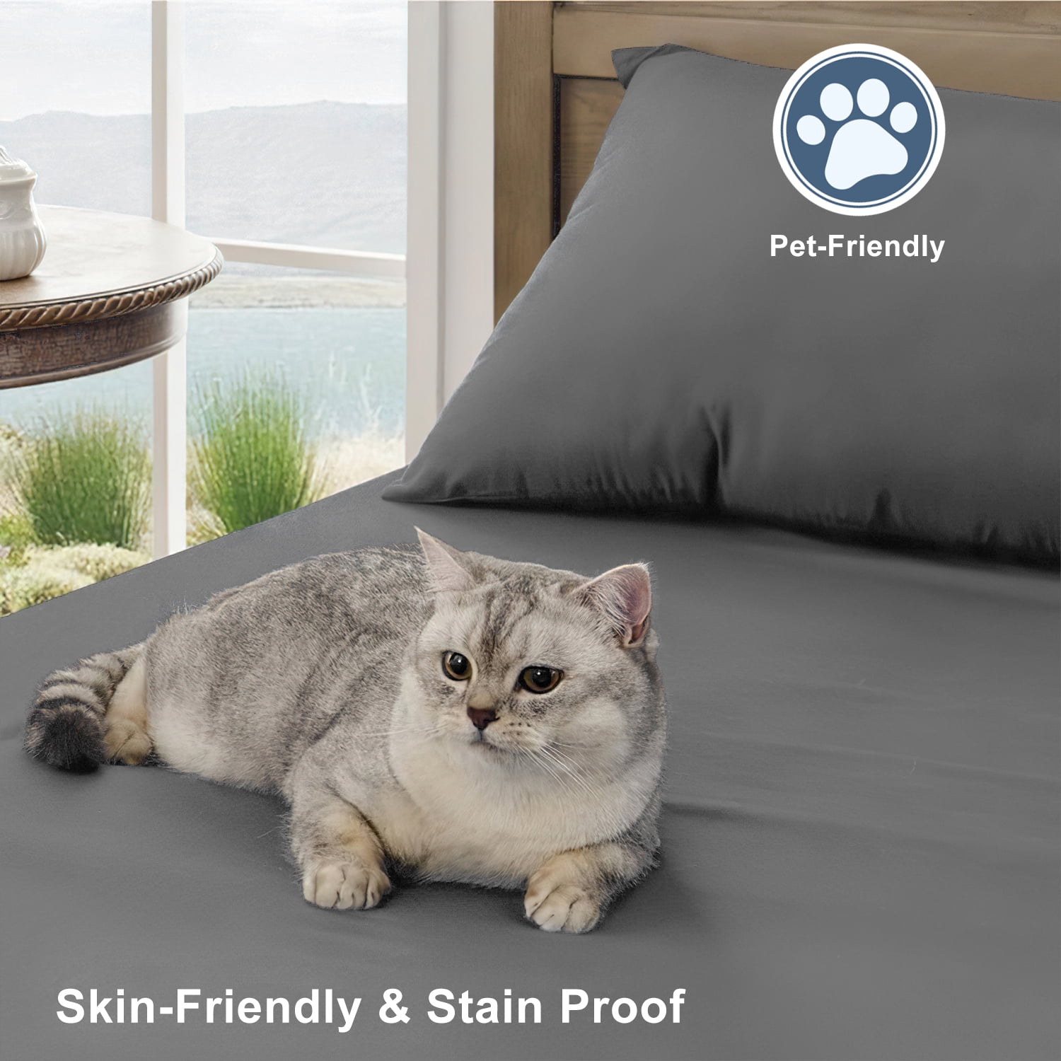 Cshidworld Queen Bed Sheet Set, 1800 Series Microfiber Cooling Bedding, Breathable & Hypoallergenic 4-Piece Luxury Soft Set (Grey, Queen) 3lg6a