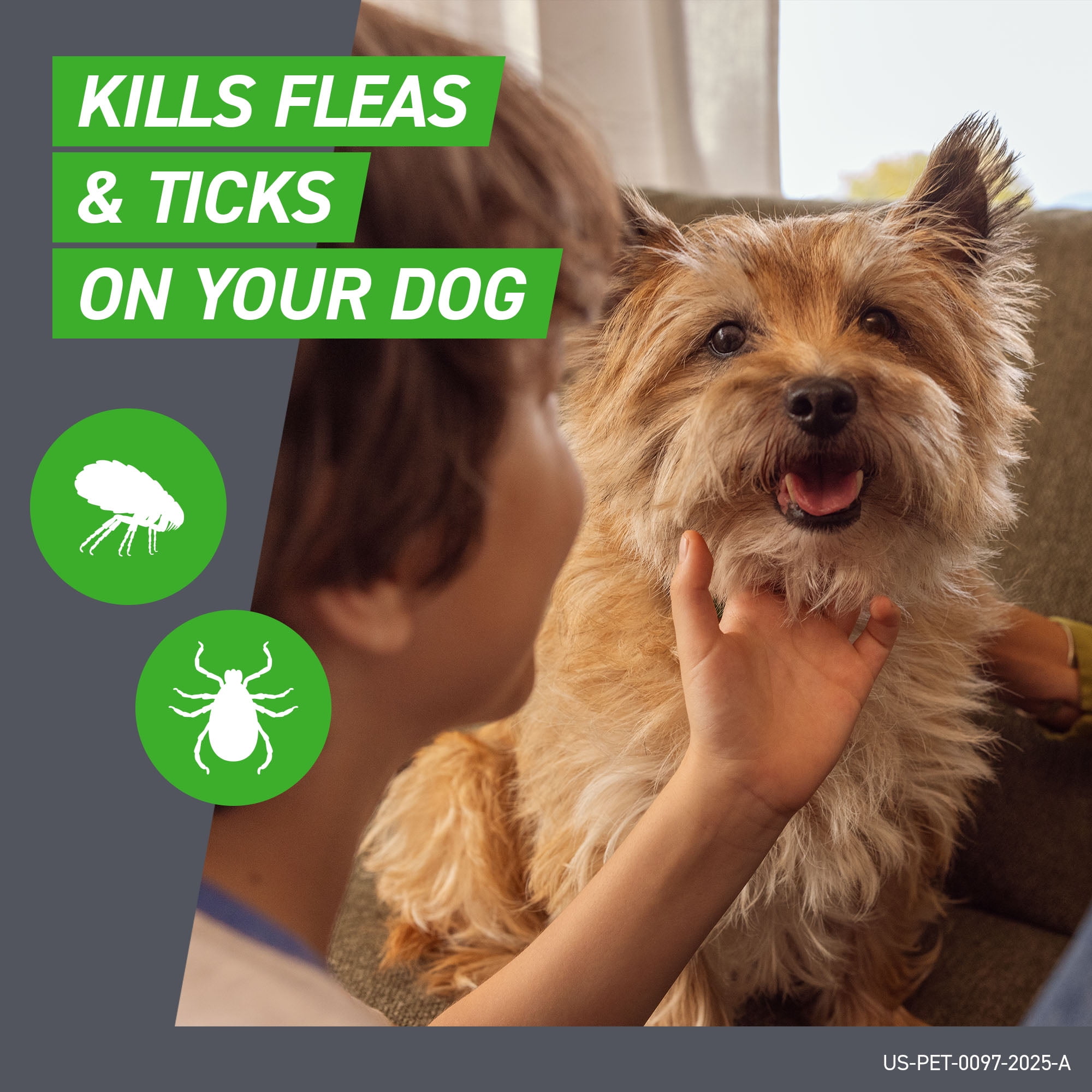 FRONTLINE Plus Flea and Tick Treatment for Small Dogs (5-22 lbs, 3 Count) ynr9m