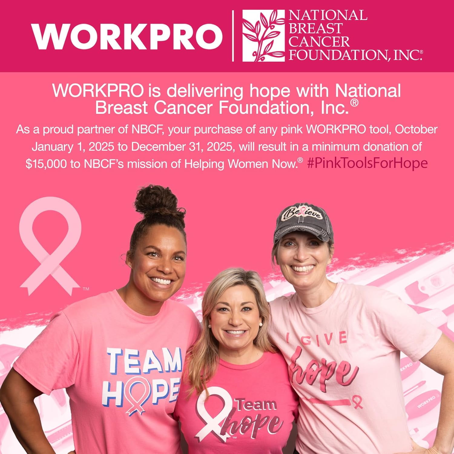 WORKPRO 13-inch Tool Bag, Heavy-Duty Soft Storage Tote with Wide Mouth and Pockets (Pink, 13.38 in x 6.69 in x 8.66 in) 6iikn