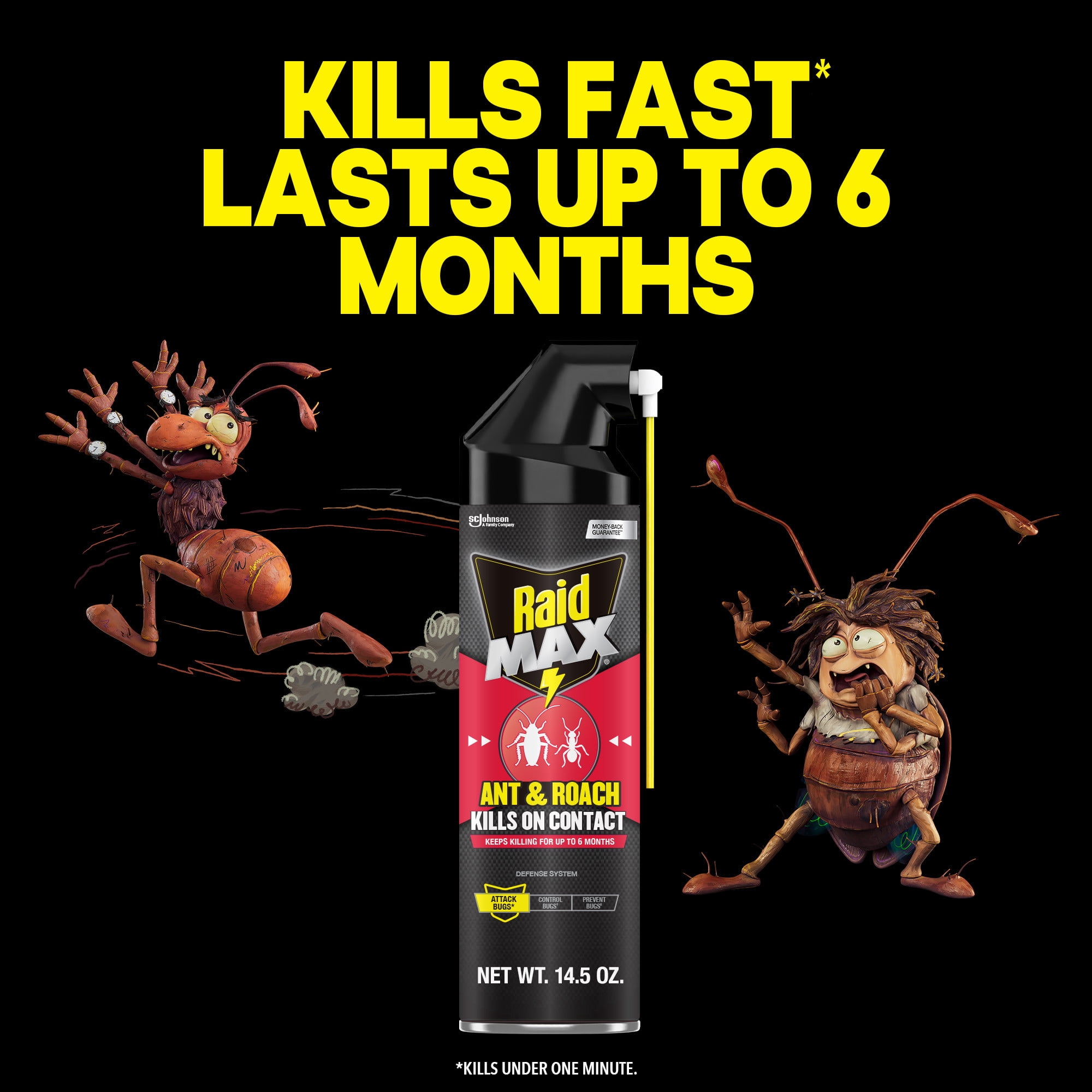 Raid MAX Indoor Ant and Roach Insecticide Spray (14.5 oz) 2ohkp