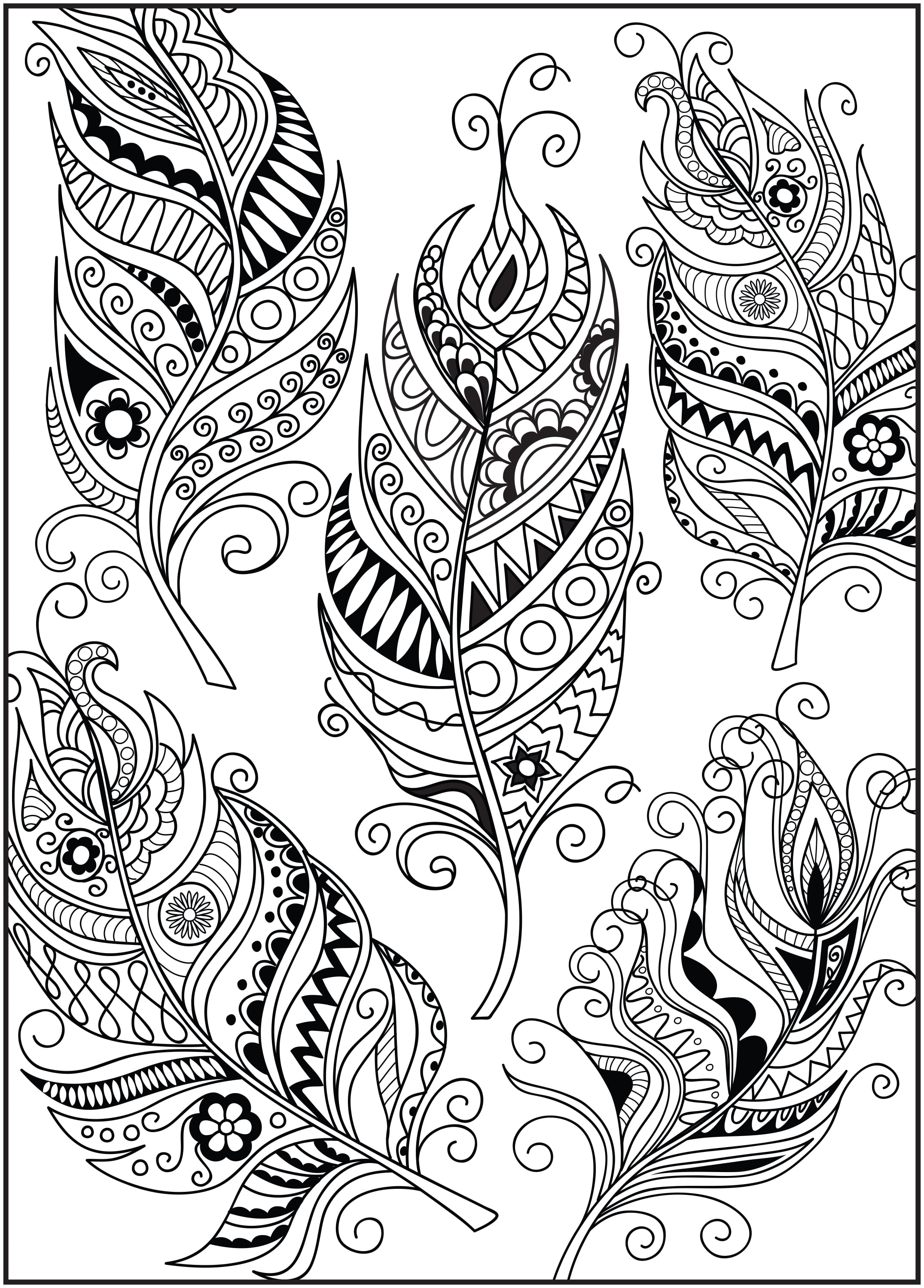 Cra-Z-Art Timeless Creations Feathered Friends Adult Coloring Book (64 Pages) fflf4