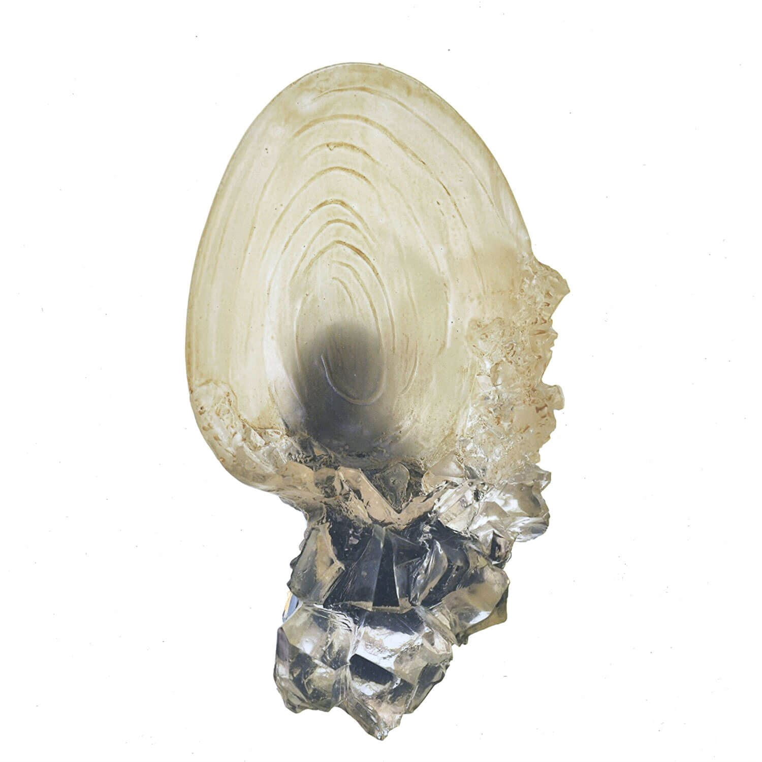 Harry Potter The Crystal Goblet Decorative Display Piece (Clear, 6.7 in x 4.0 in x 2.4 in) 394kc