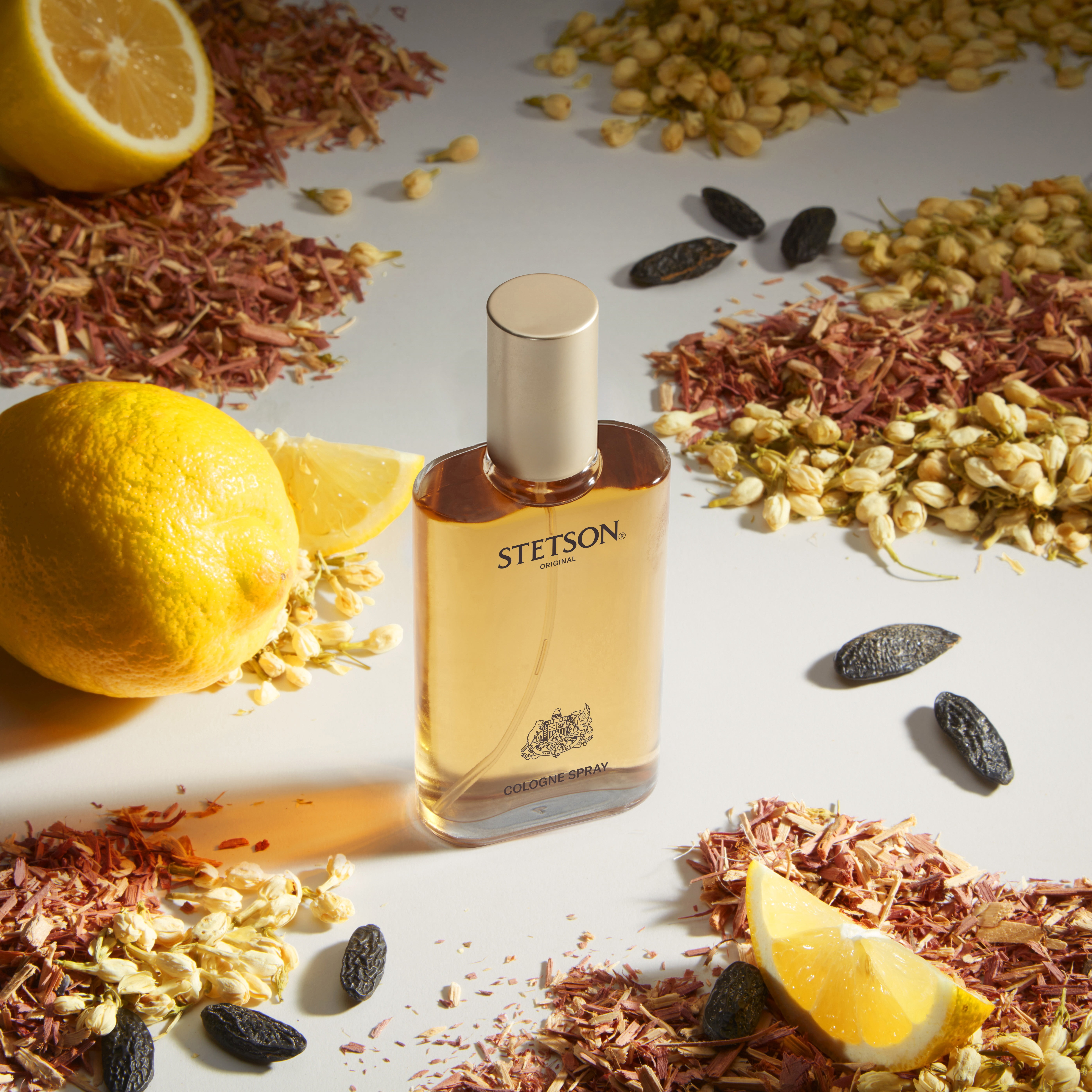 Stetson Original Cologne for Men, Woody and Citrus Fragrance (2.25 fl oz) 0t6gc