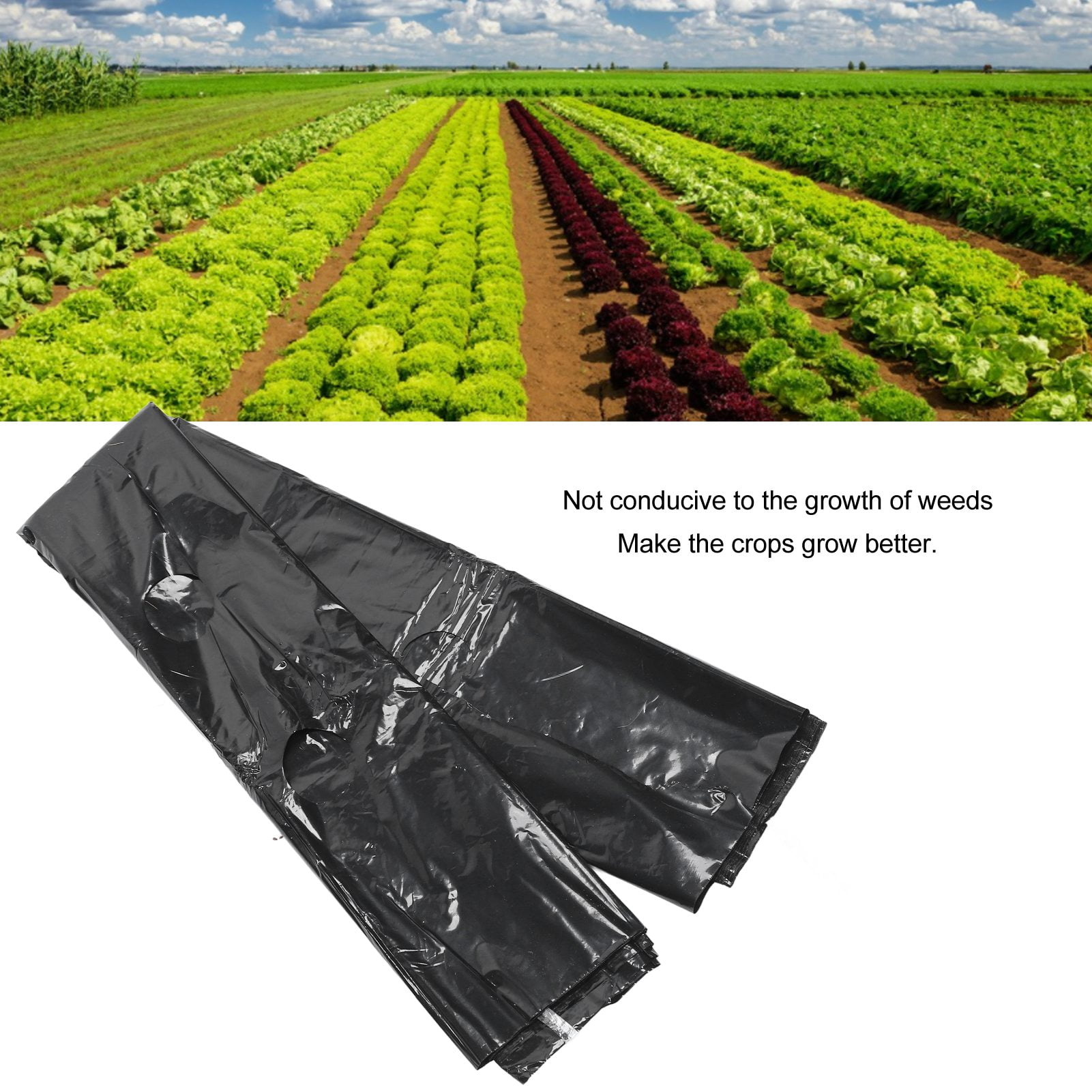 Generic Perforated PE Garden Mulch Film Weed Barrier for Crop Growth (Black, 3.1 ft x 32.8 ft) bkzvt
