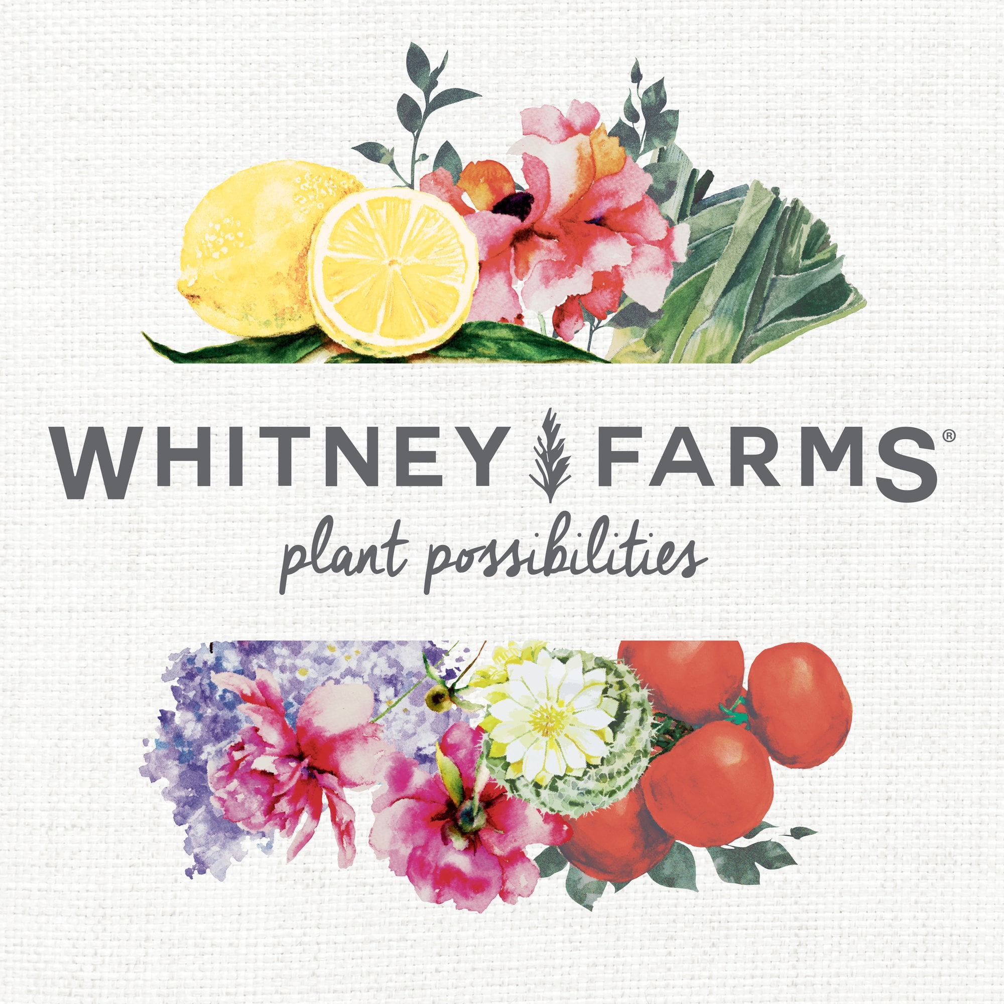 Whitney Farms Organic Potting Soil (Natural Nutrient-Rich Blend, 16 Dry qt) 3hofb