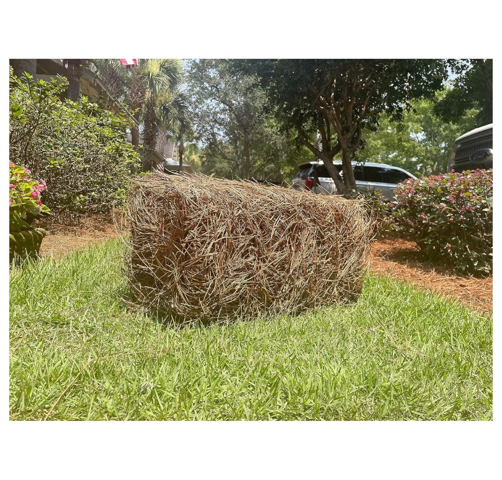 ZRuEzyX Premium Square Pine Straw Bale for Landscaping and Gardening (Natural, 65-70 Sq. Ft. Coverage) axdtr