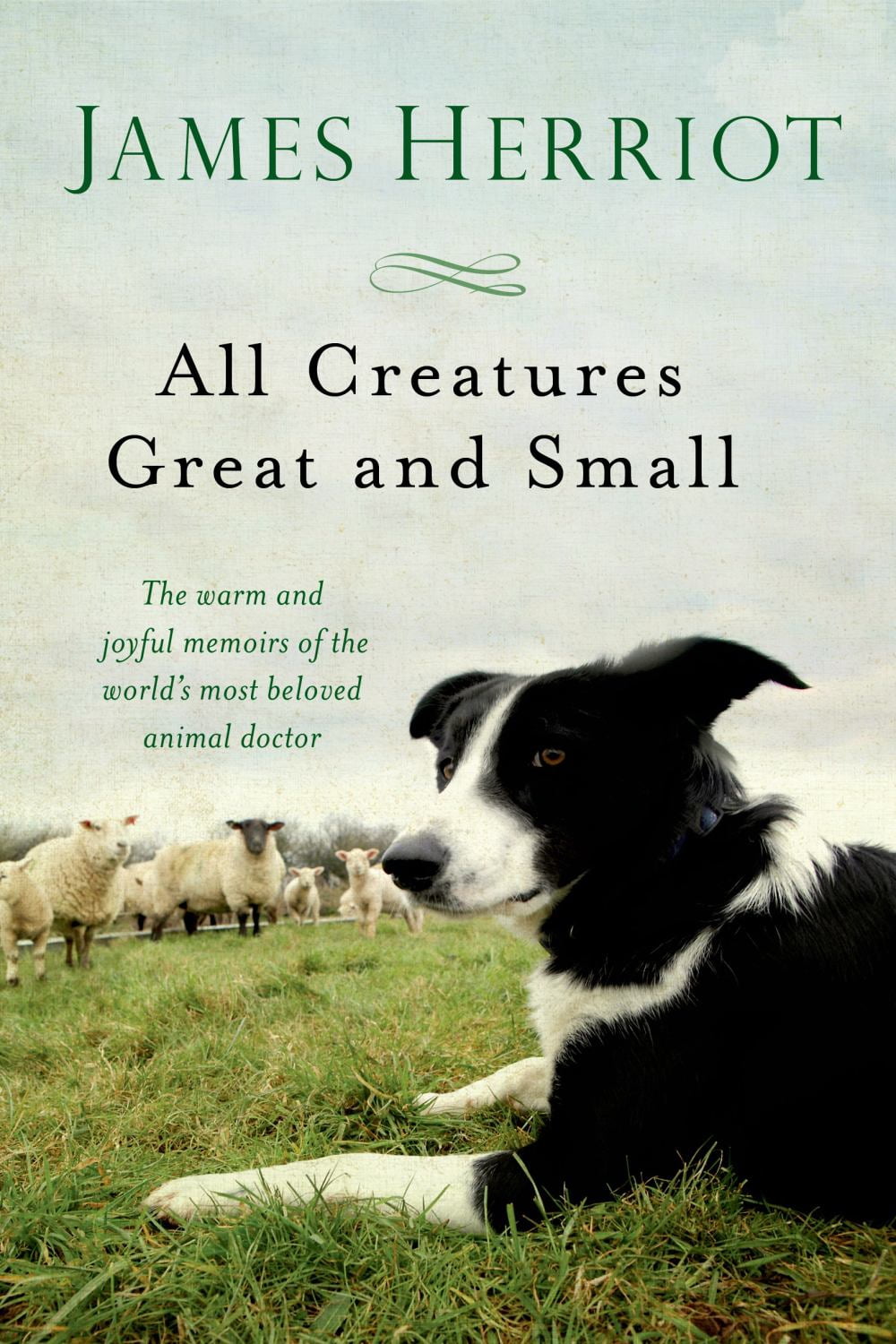 James Herriot All Creatures Great and Small Memoirs (Hardcover, 442 Pages) 0k4aa