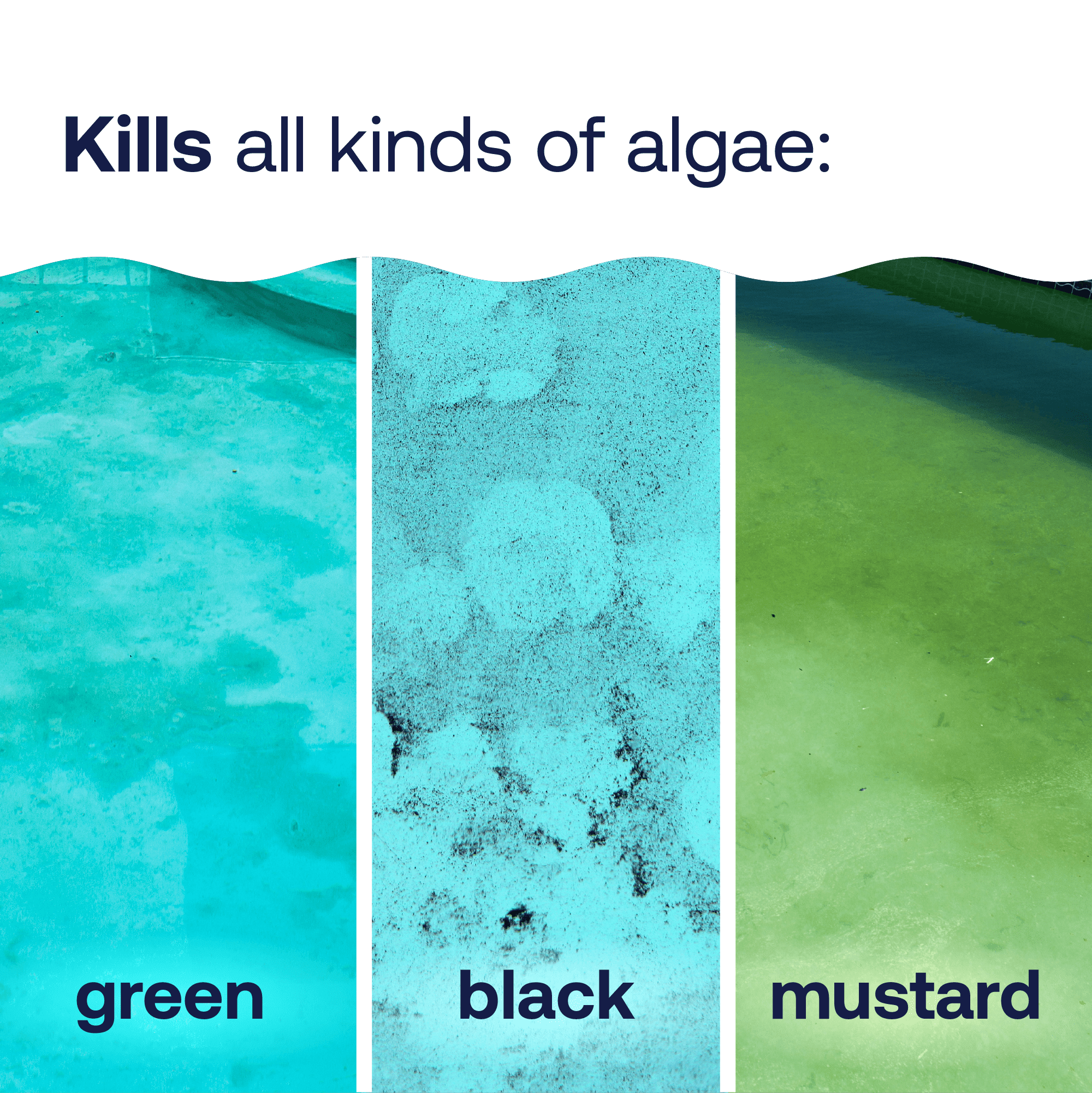 HTH Pool Care Algae Guard Ultra Plus, Fast-Acting Swimming Pool Algaecide Treatment (28 fl oz) 3d5lm