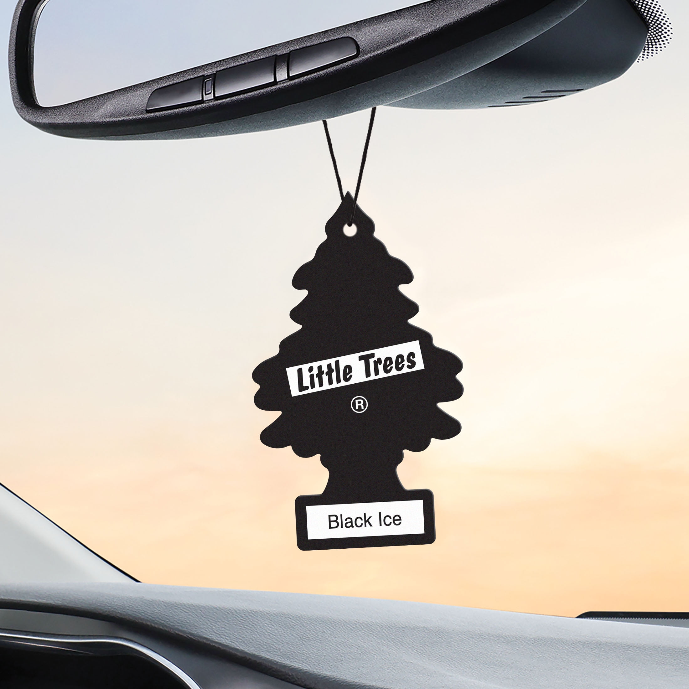 LITTLE TREES Car Air Freshener Black Ice Scent Long-Lasting Odor Eliminator (Black, 6-Pack) vg4bj