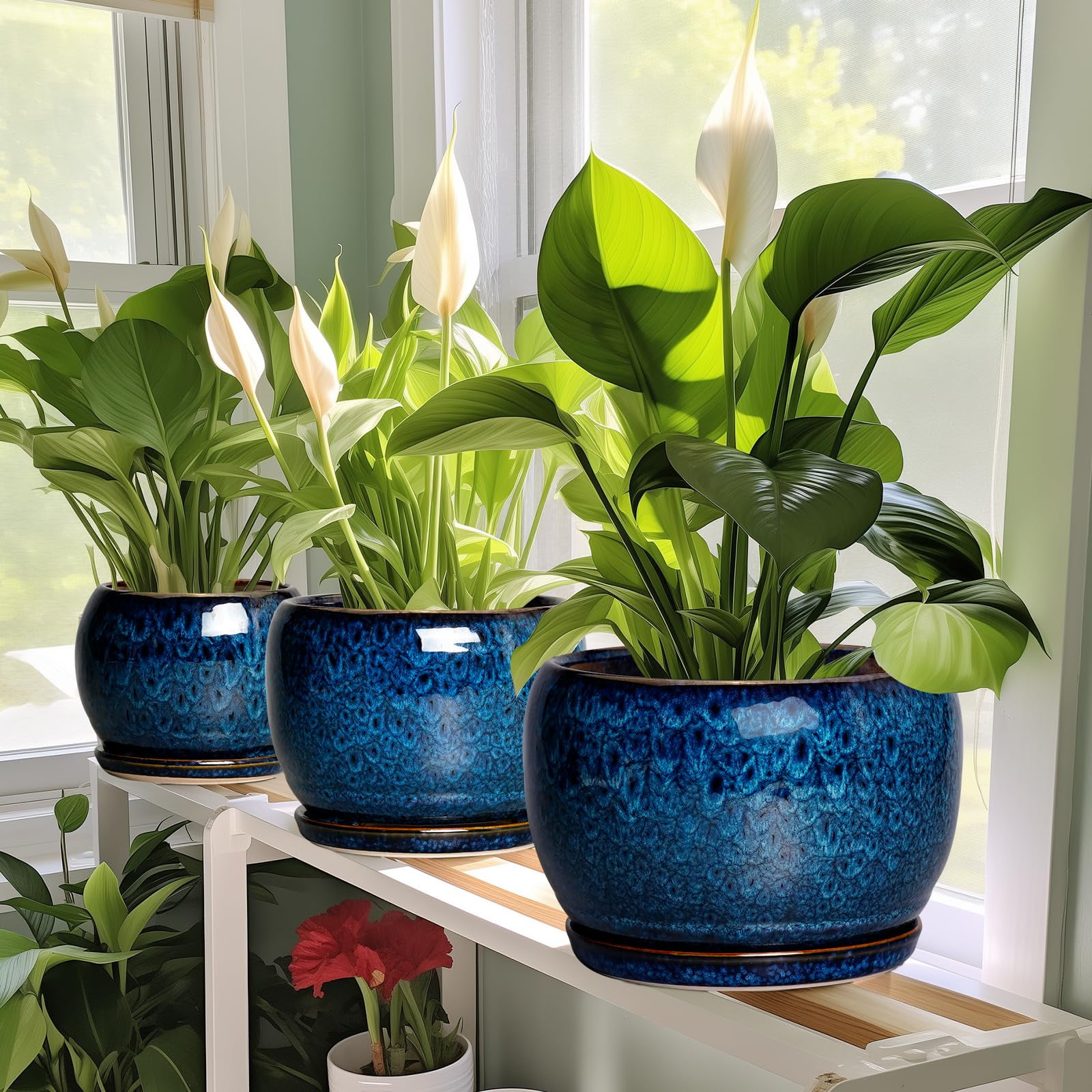 Ordivic Ceramic Planter with Drainage Hole and Saucer for Indoor Plants (Blue, 6 in) eag6w