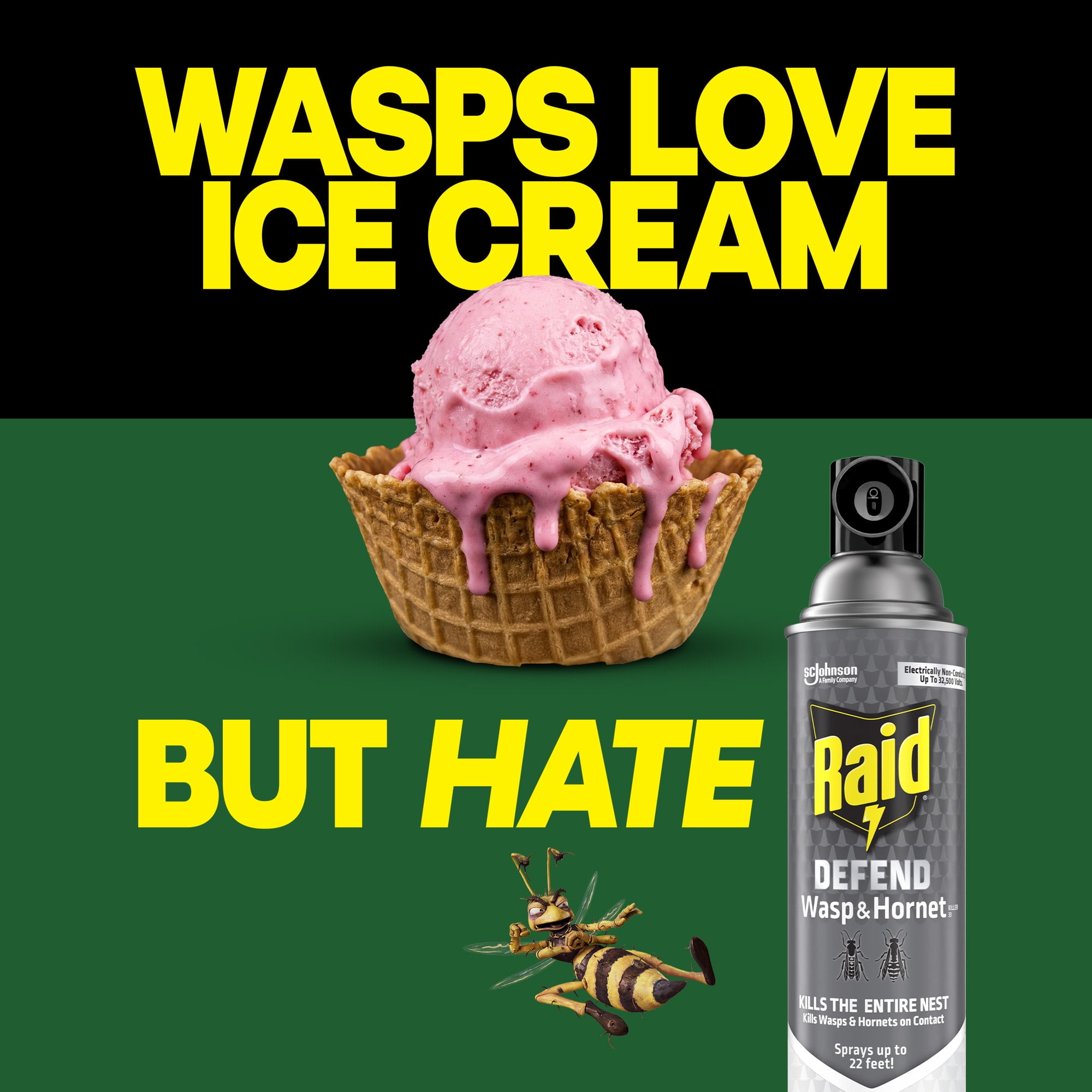 Raid Wasp & Hornet Killer Outdoor Flying Insect Spray (3 Pack, 14 oz) szhlg