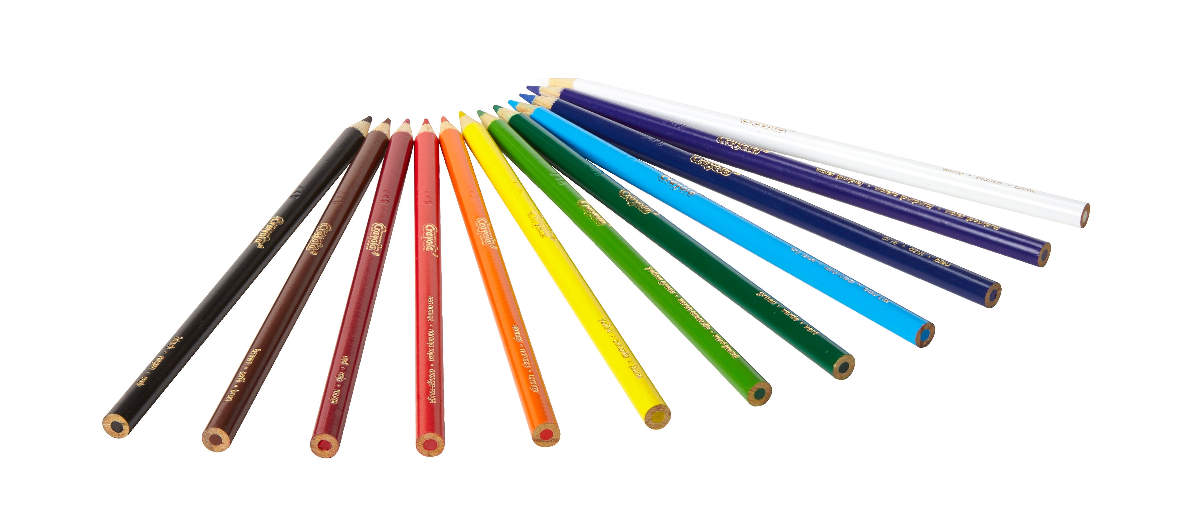 Crayola Colored Pencils, Pre-sharpened Drawing Art Supplies, Assorted Colors (48 Packs, 12 Count Each) sz9if