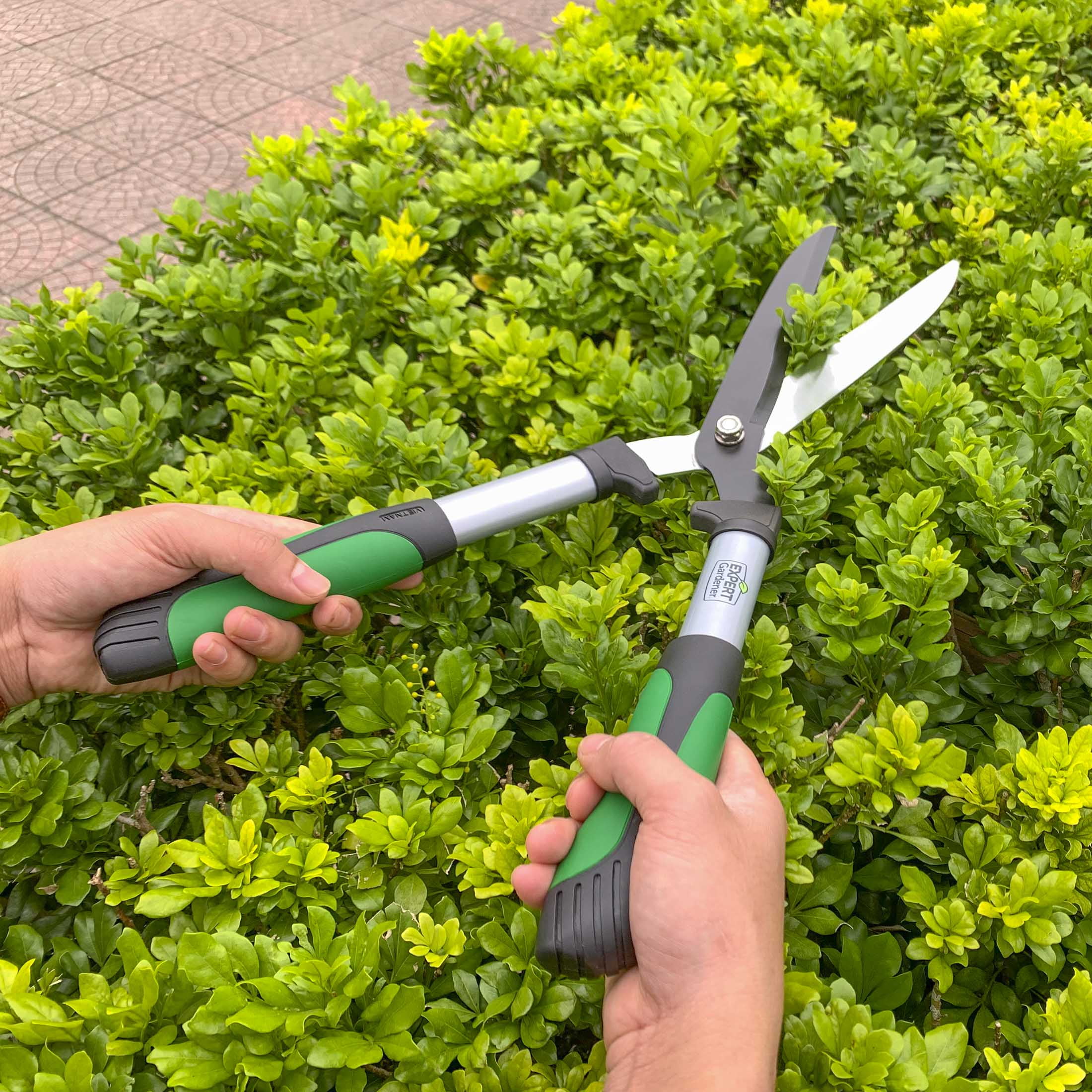 Expert Gardener Hedge Shear Heavy-Duty Gardening Tool (Green and Black, 20 in) l3hmu