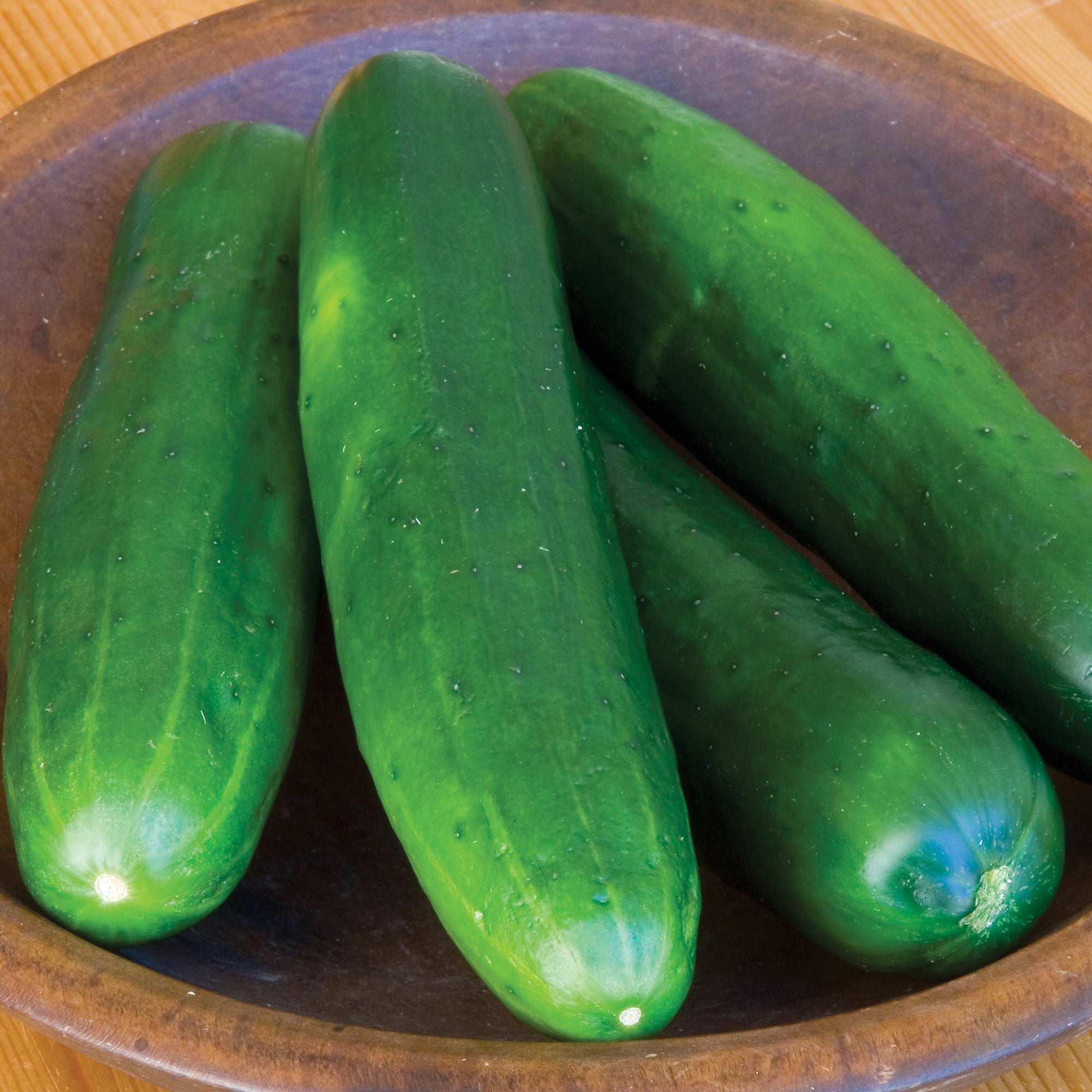 Burpee Burpless Beauty Cucumber Seeds for Vegetable Gardening (1-Pack) f0qop