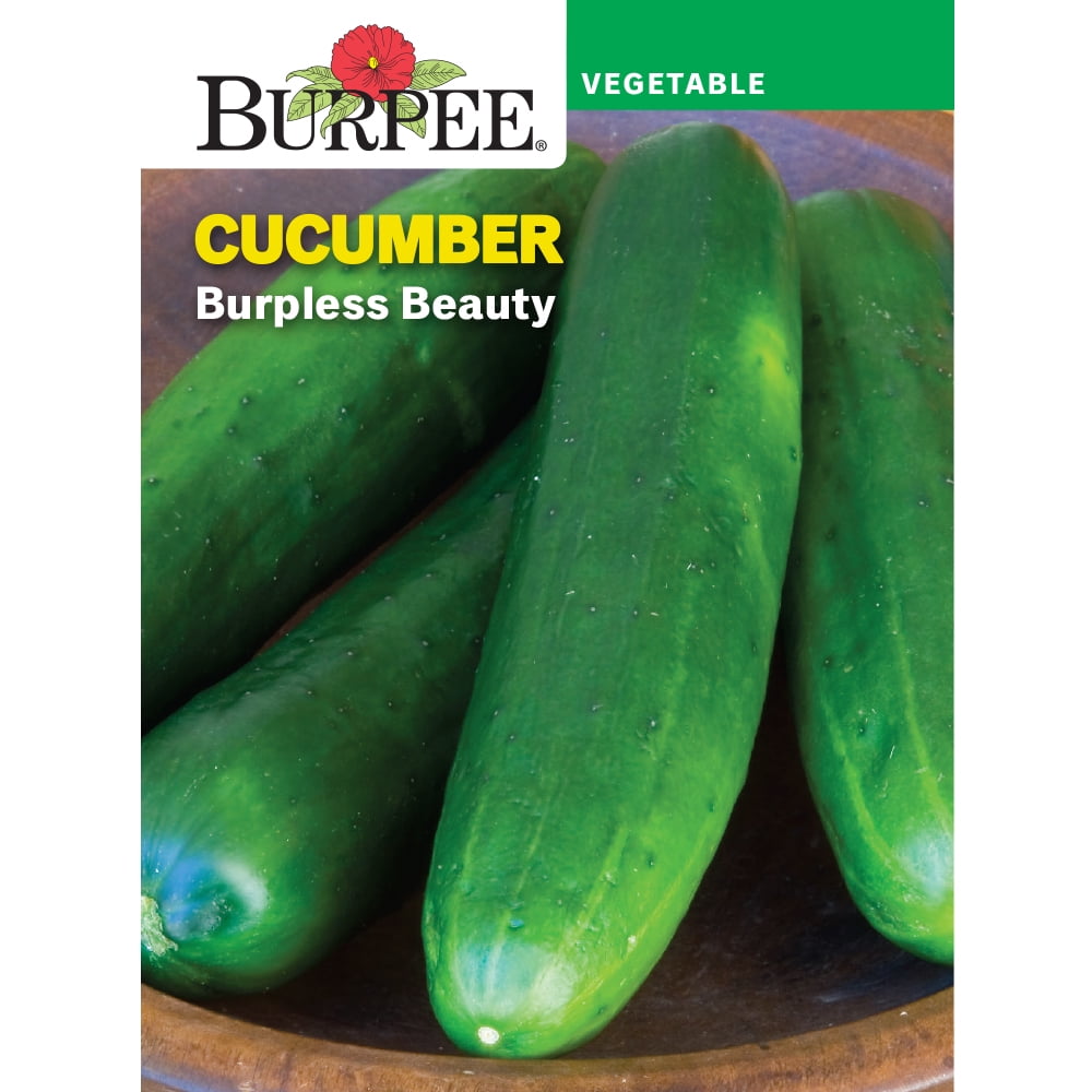 Burpee Burpless Beauty Cucumber Seeds for Vegetable Gardening (1-Pack) f0qop