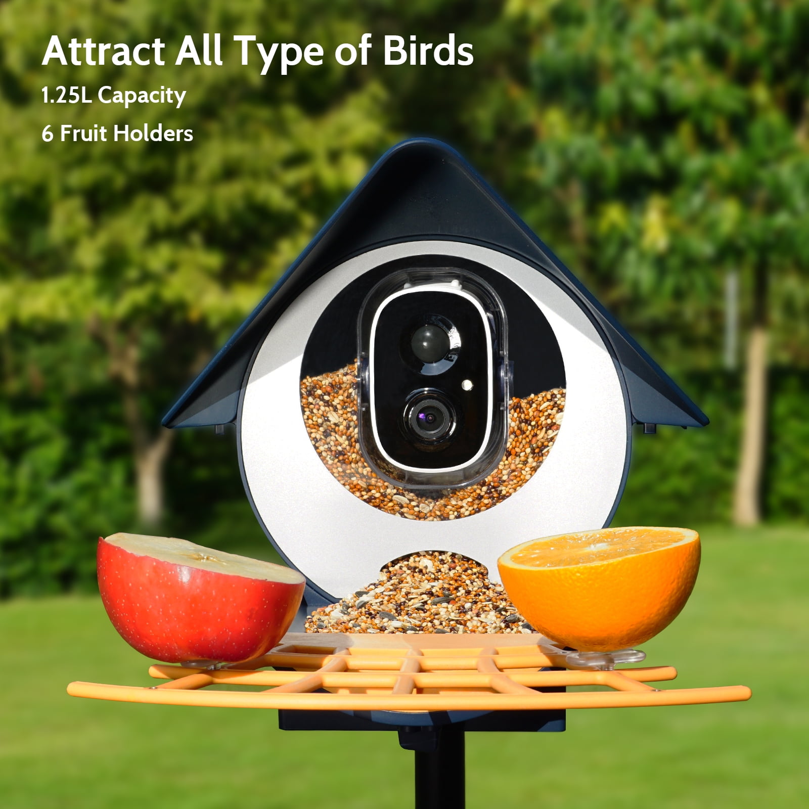 BirdKiss Smart Bird Feeder with Camera, 1080P HD AI Bird Identification, Weatherproof Outdoor Bird Watching Station (Blue, 42.27 fl oz) otass