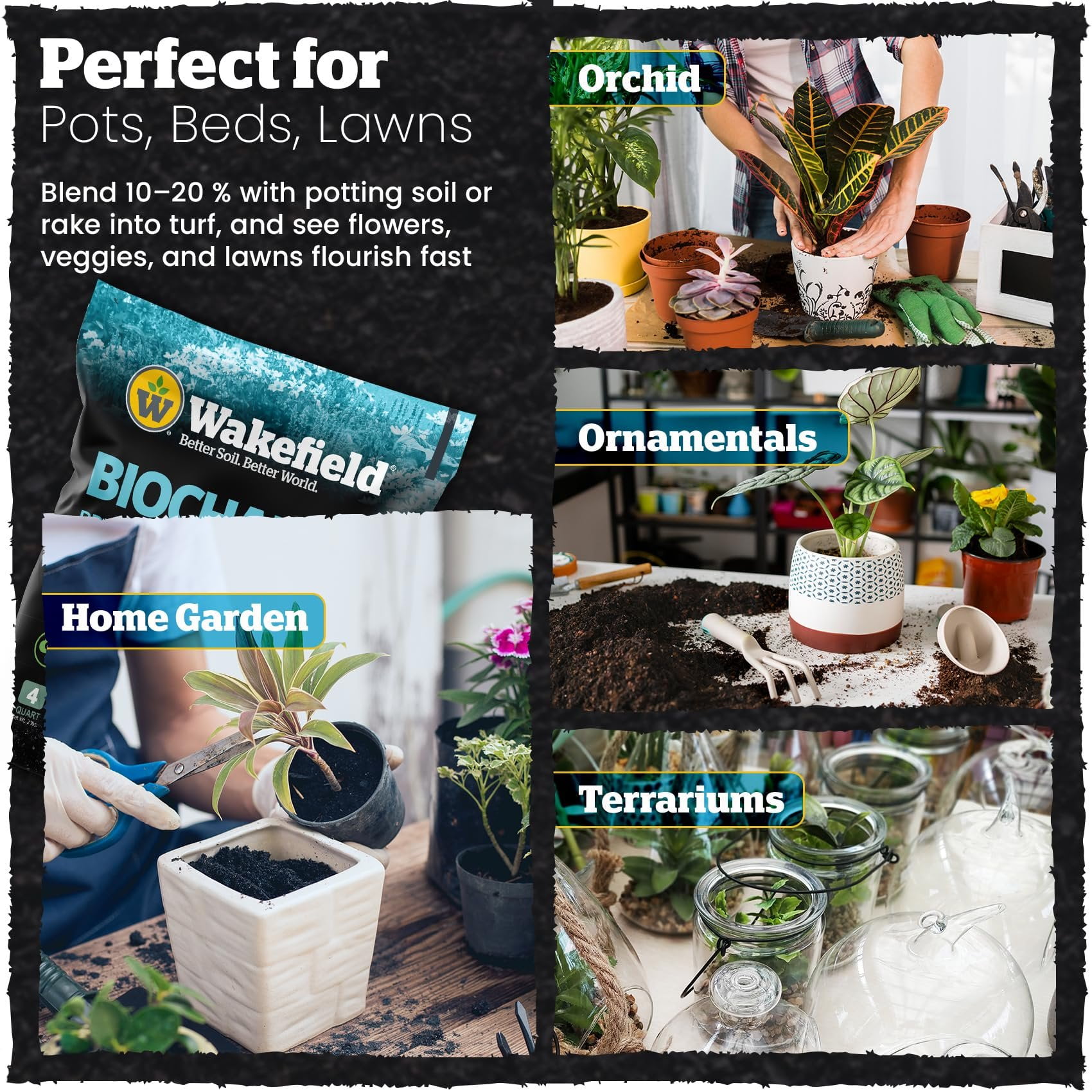 Wakefield Biochar Premium Soil Conditioner for Garden and Container Plants (4 qt) lb691