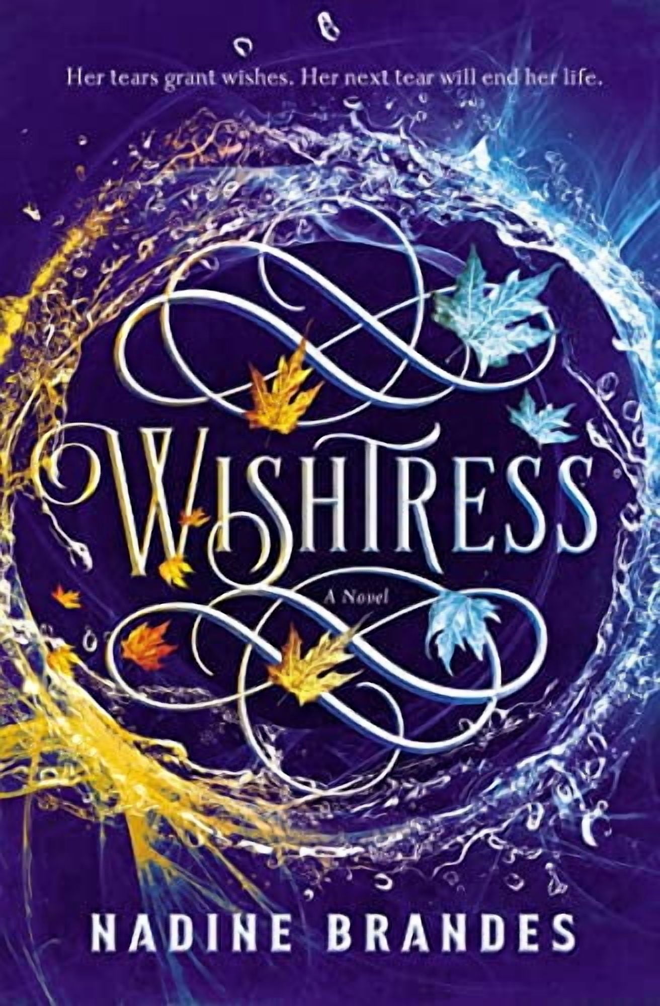 Nadine Brandes Wishtress (Hardcover Edition, 464 Pages) ycf5w