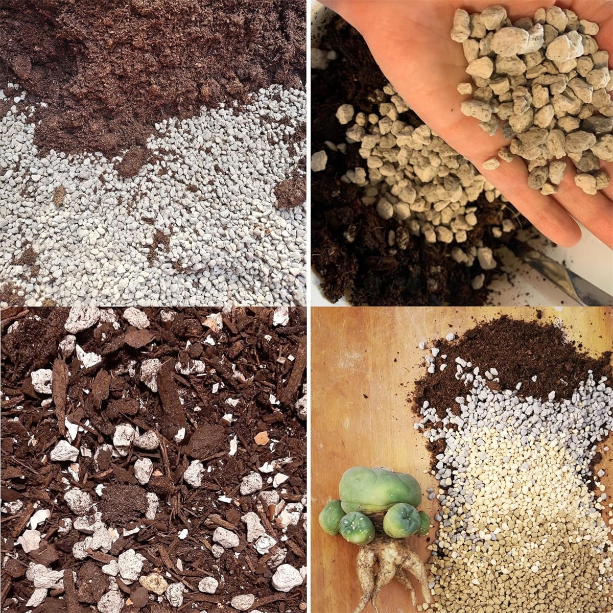 GIXUSIL Horticultural Pumice for Plants, Succulent and Bonsai Soil Amendment, Aeration and Drainage Rock (3/8 in, 0.5 lb) oeqby