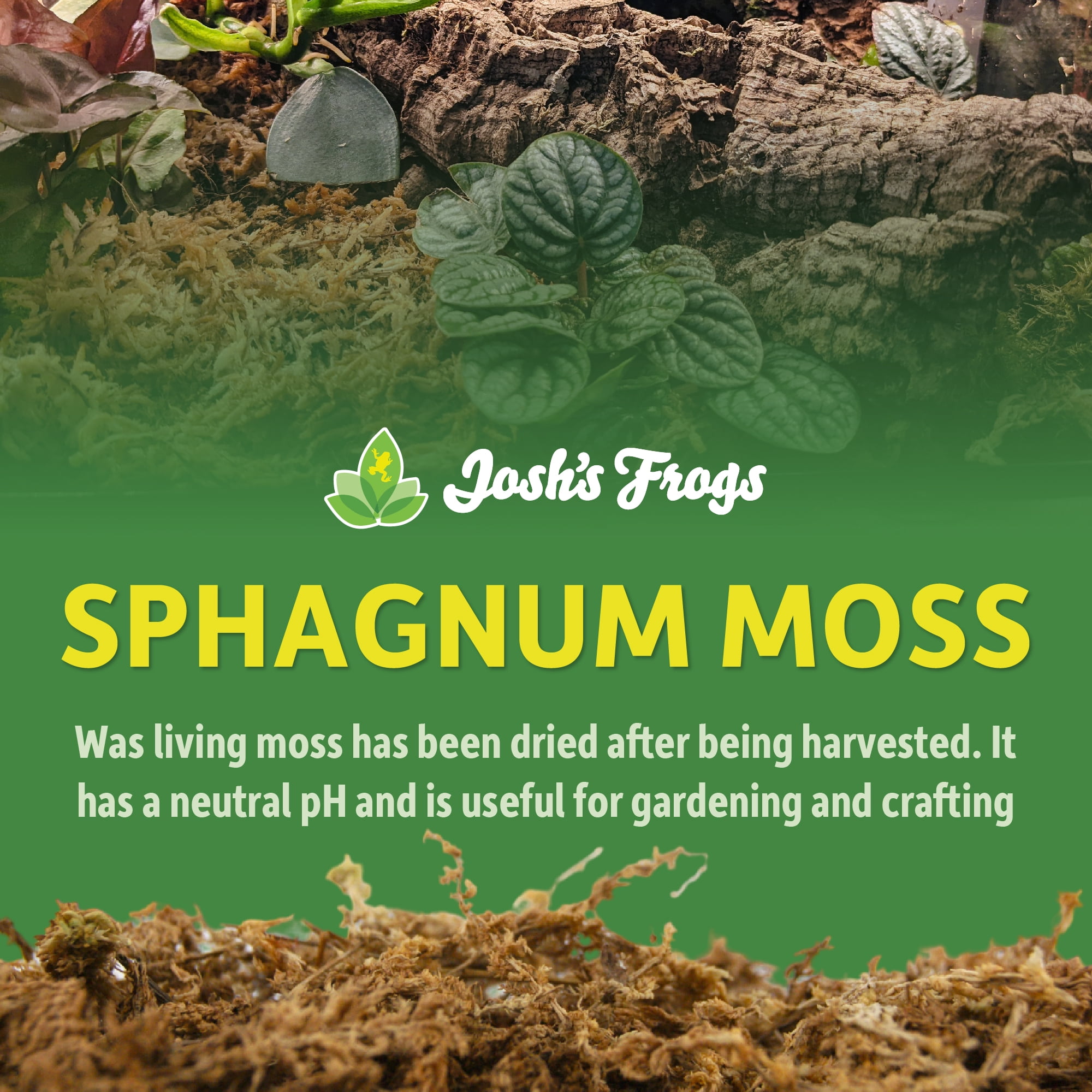 Josh's Frogs Sphagnum Moss Growing Medium for Cuttings and Epiphytes (1 Quart) xzg5j