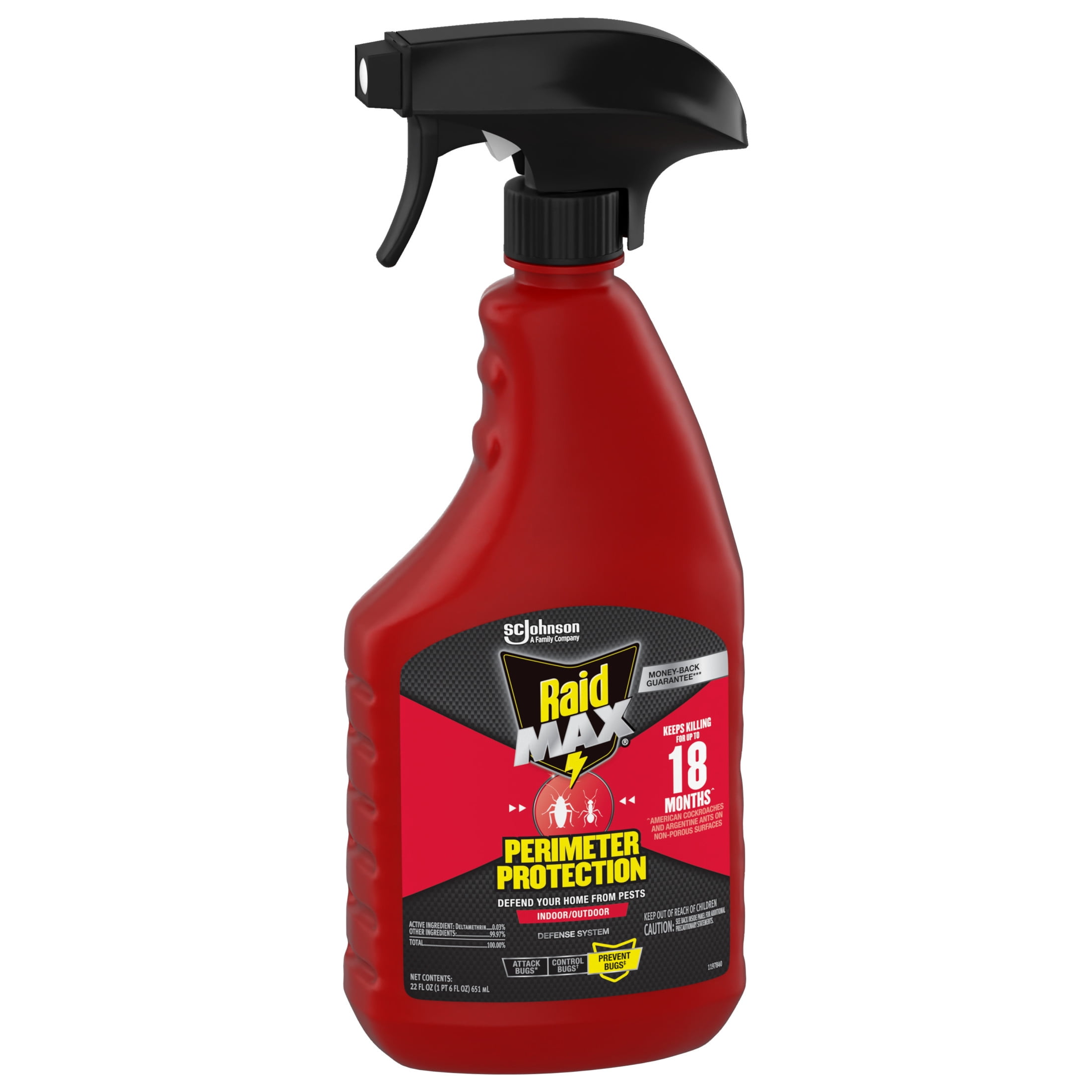 Raid MAX Perimeter Protection Multi Insect Killer Spray (Indoor & Outdoor, 22 fl oz) sm633