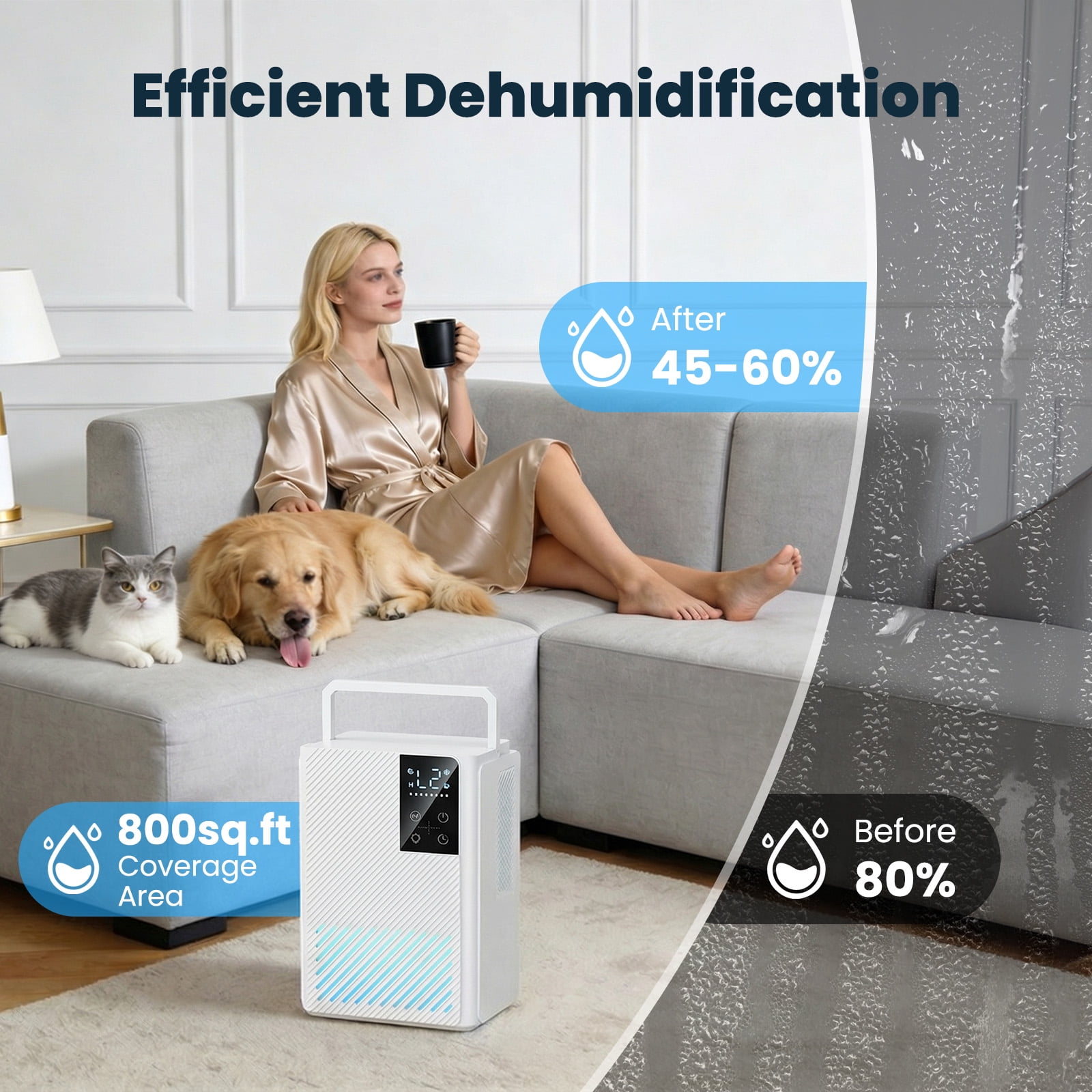 QUNCWL Small Dehumidifier for Home Bedroom Bathroom (White, 67 oz) y0a8s