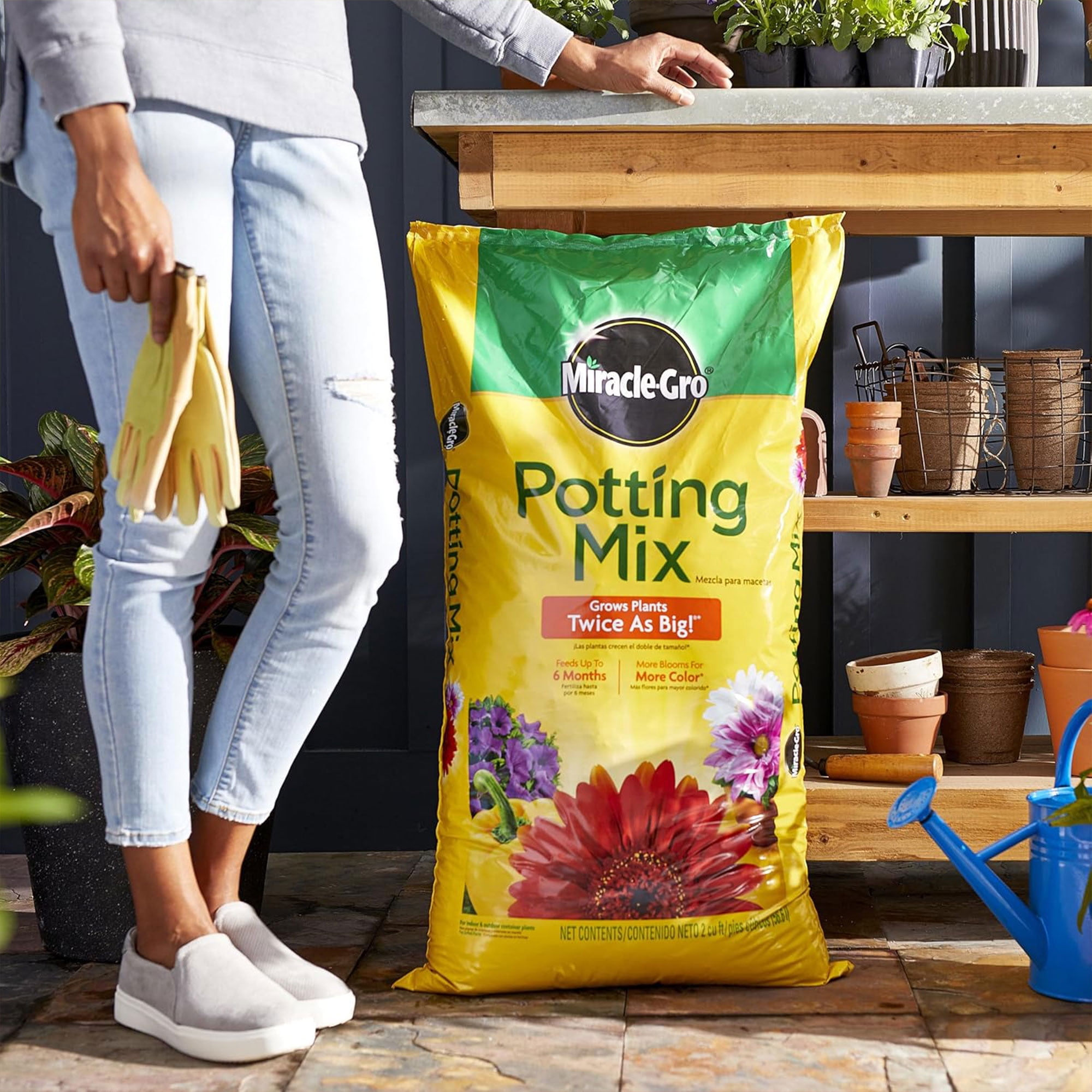 Miracle-Gro Potting Mix and Indoor Plant Food Spikes (2 cu ft Soil, 24-Pack Spikes) h4ot8
