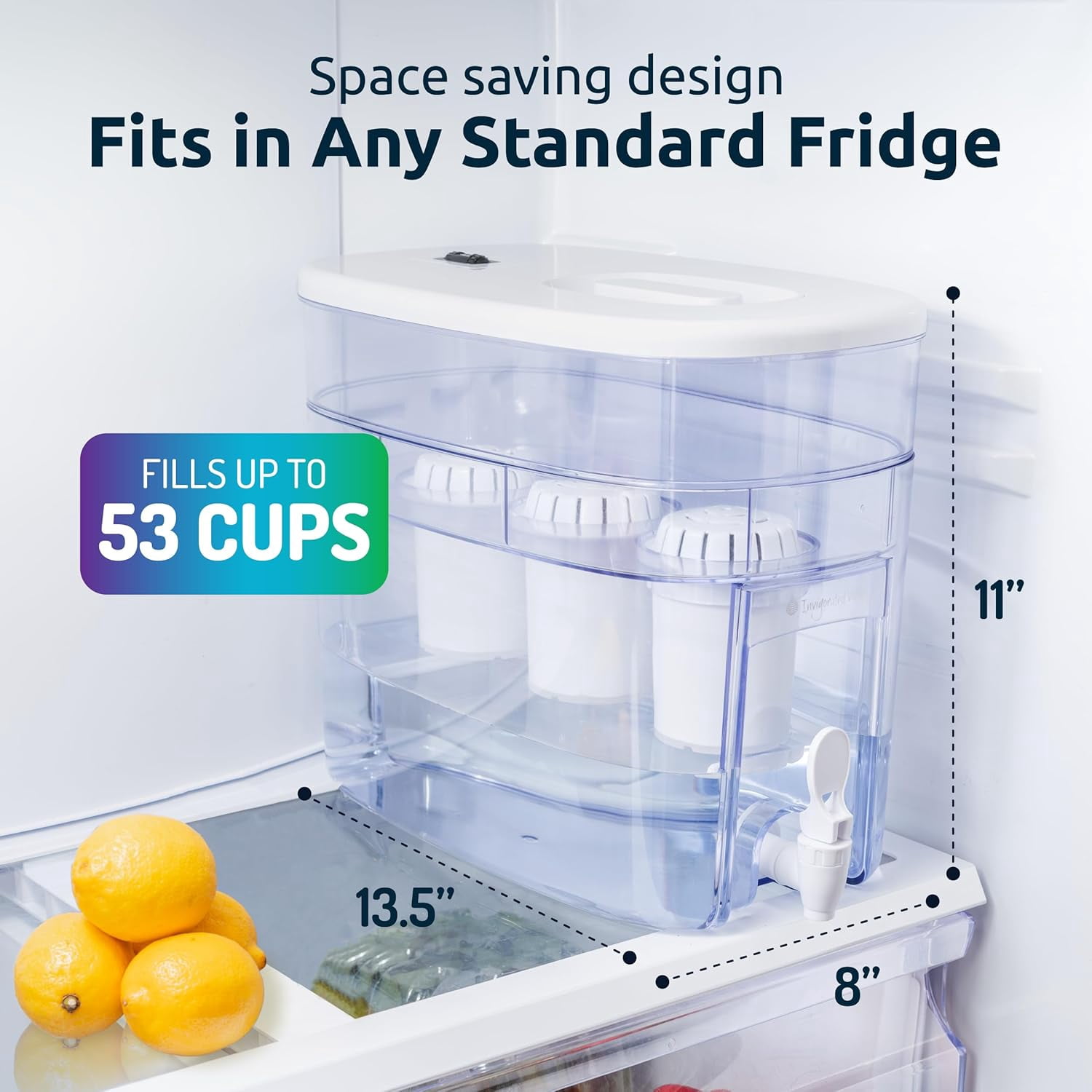 Invigorated Water Alkaline Countertop Water Filter Dispenser, High pH Filtration System (White, 53-Cup) 9h2bk