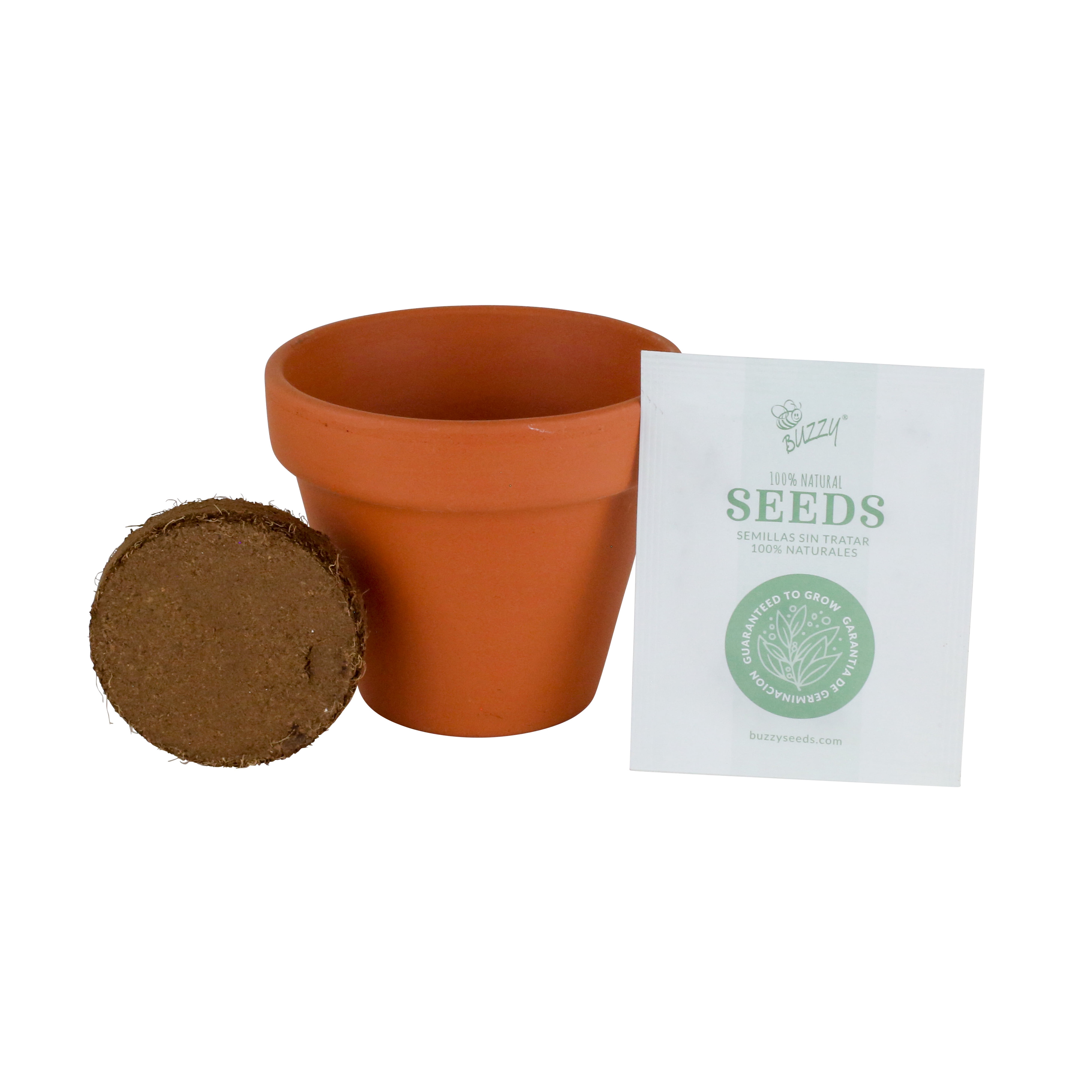 Buzzy Lavender Herb Growing Kit with Terra Cotta Pot (2.75 in) ve37s - Image 6