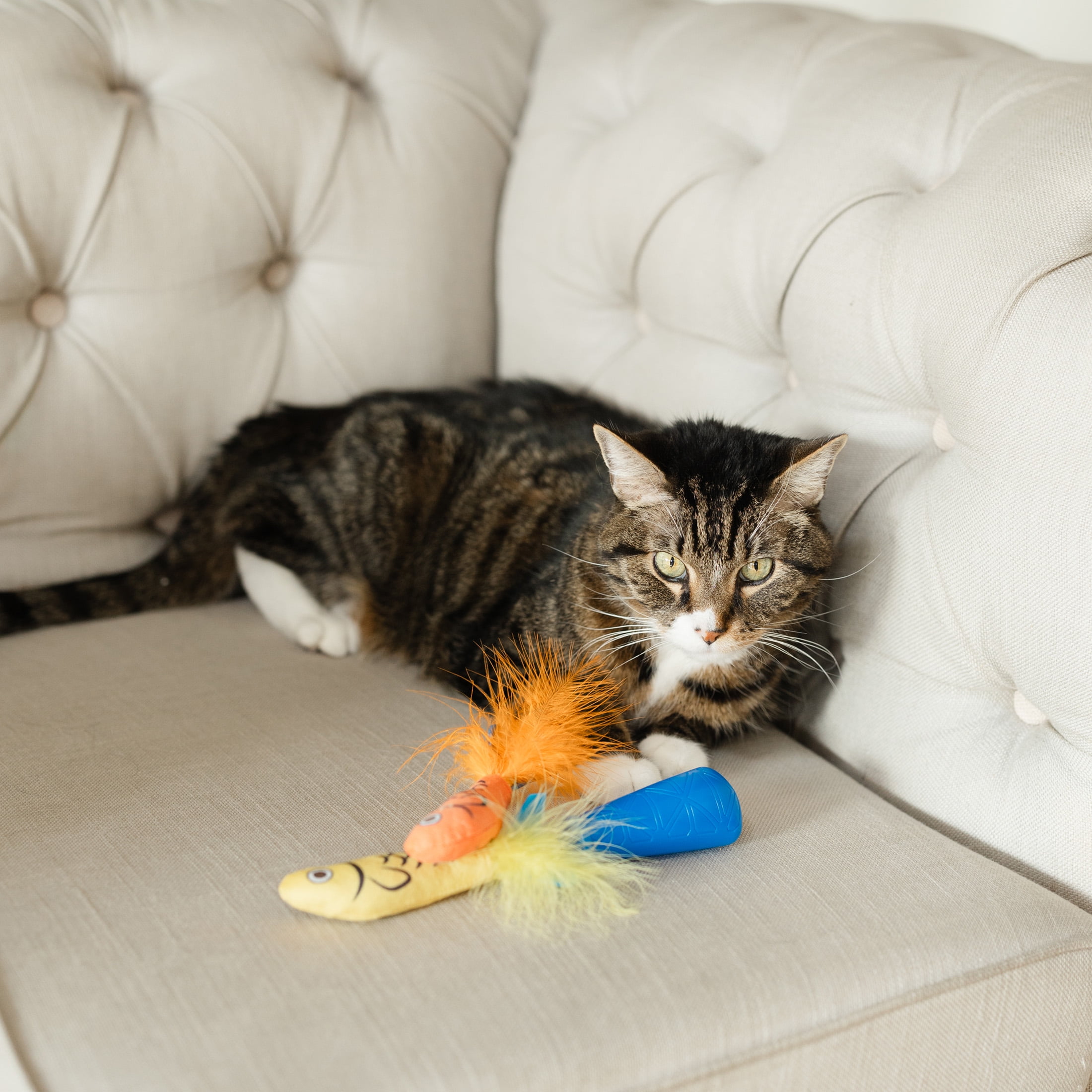 Vibrant Life Sardine Explosion Cat Toys with Catnip (Blue, 3 Pack) ijjq2