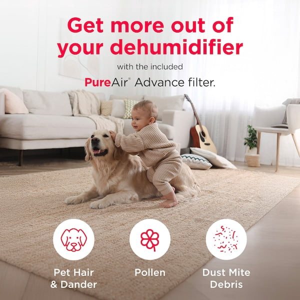 Frigidaire Gallery 2-in-1 Smart Dehumidifier with Wi-Fi and Allergy Filter (White, 35 Pint) rordv