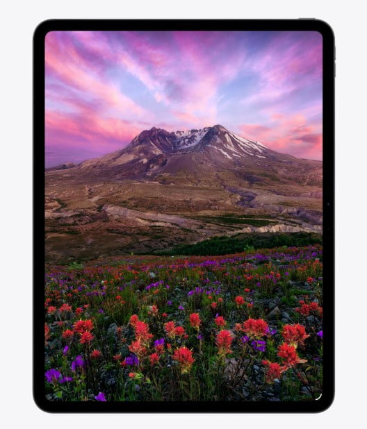 Apple iPad Pro 13-inch (M5) Wi-Fi + Cellular 256GB OLED Tablet (Silver) nujxn