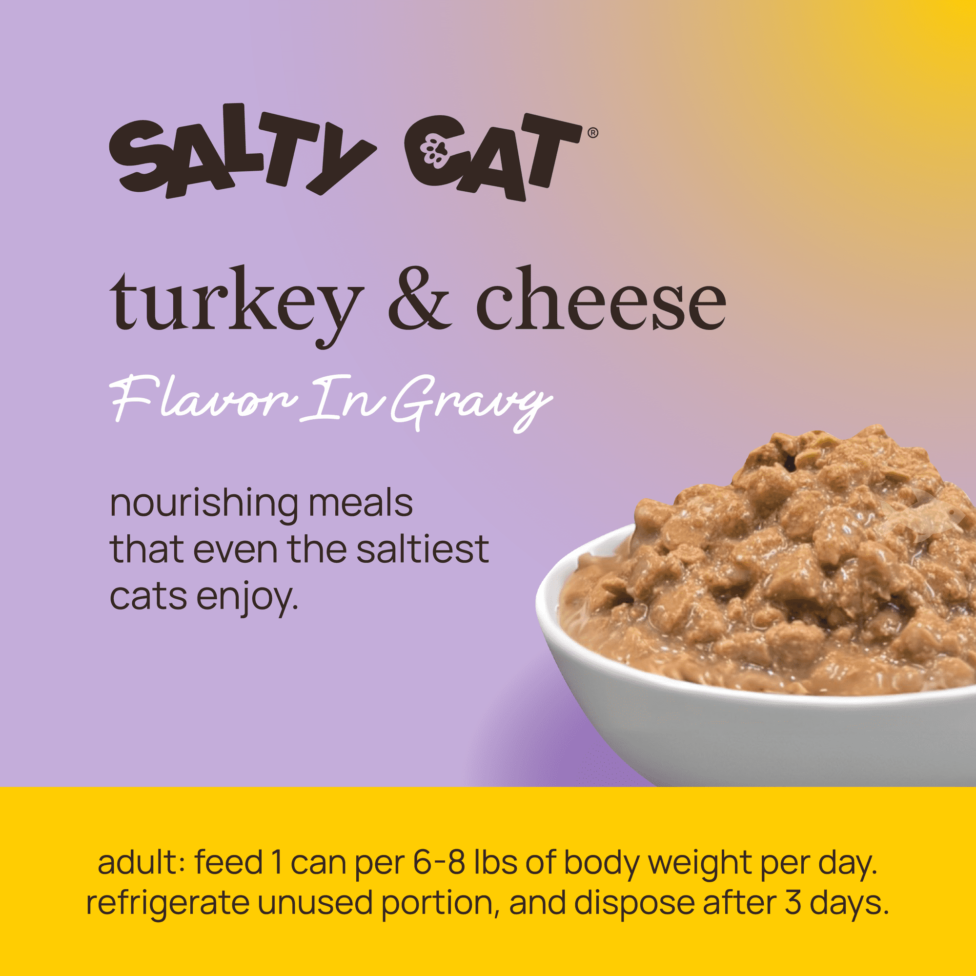 Salty Cat Turkey and Cheese Flavor Wet Cat Food in Gravy (6 Pack, 13 oz) xeh1b