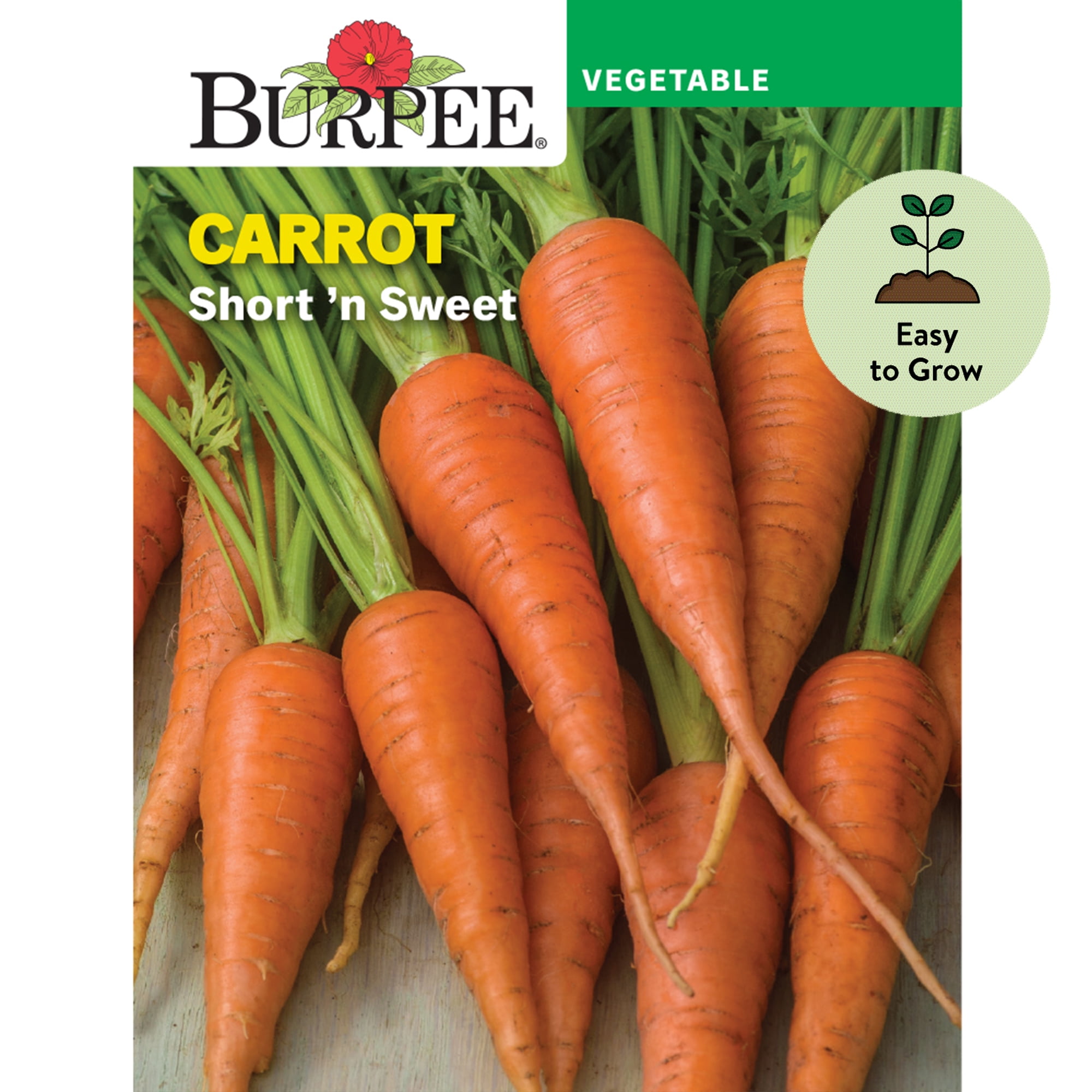 Burpee Short 'N Sweet Carrot Seeds for Vegetable Gardening (1-Pack) 92fs5