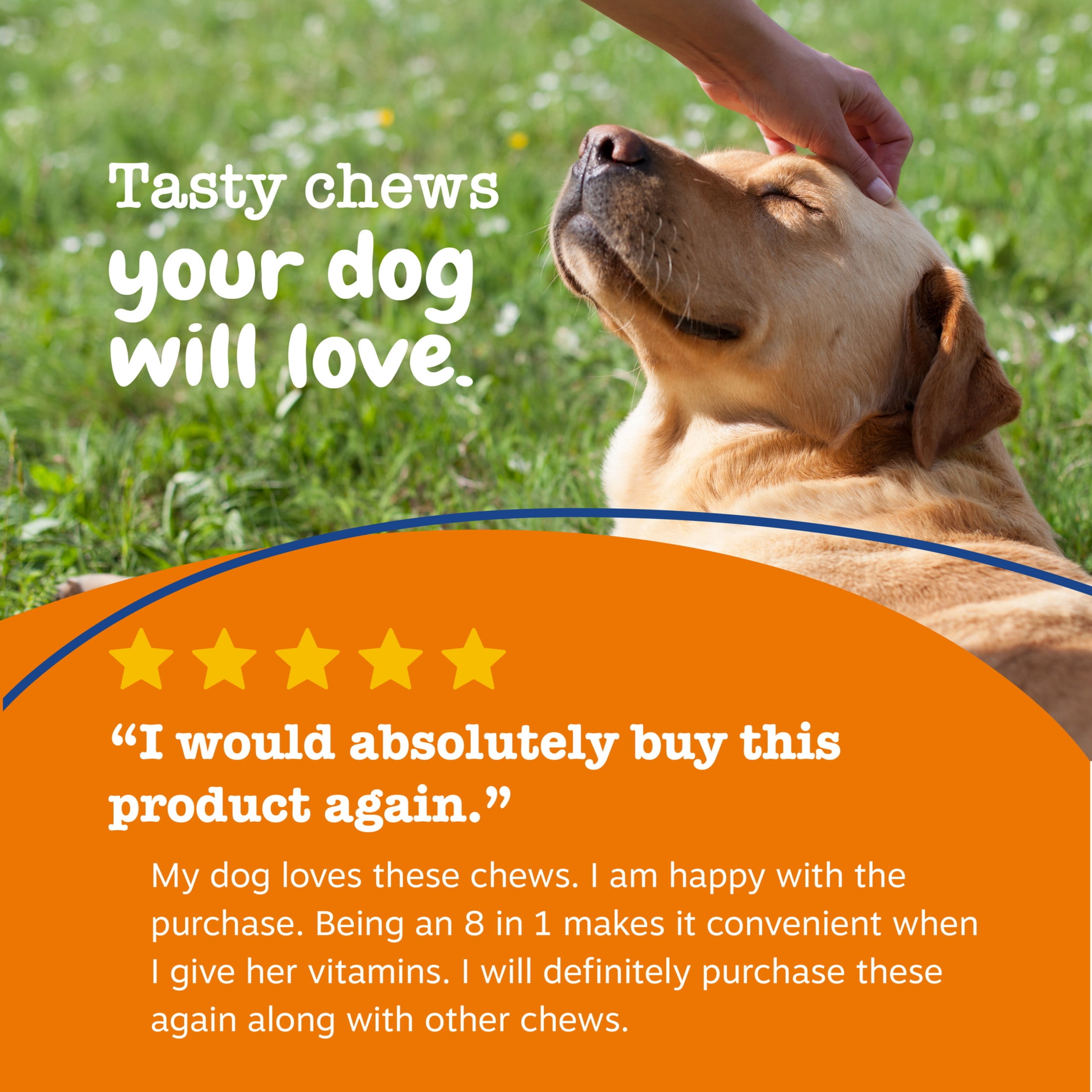 Zesty Paws 8-in-1 Multivitamin Bites Chicken Flavor Dog Supplement (60 Count) sgzp8
