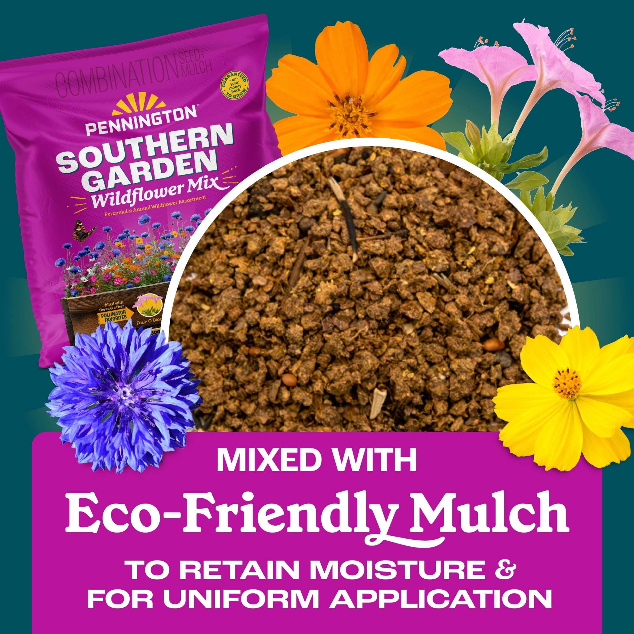 Pennington Wildflower Seed Mix, Southern Region Garden Blend, Pollinator-Friendly Annuals and Perennials (32 oz) uoowy