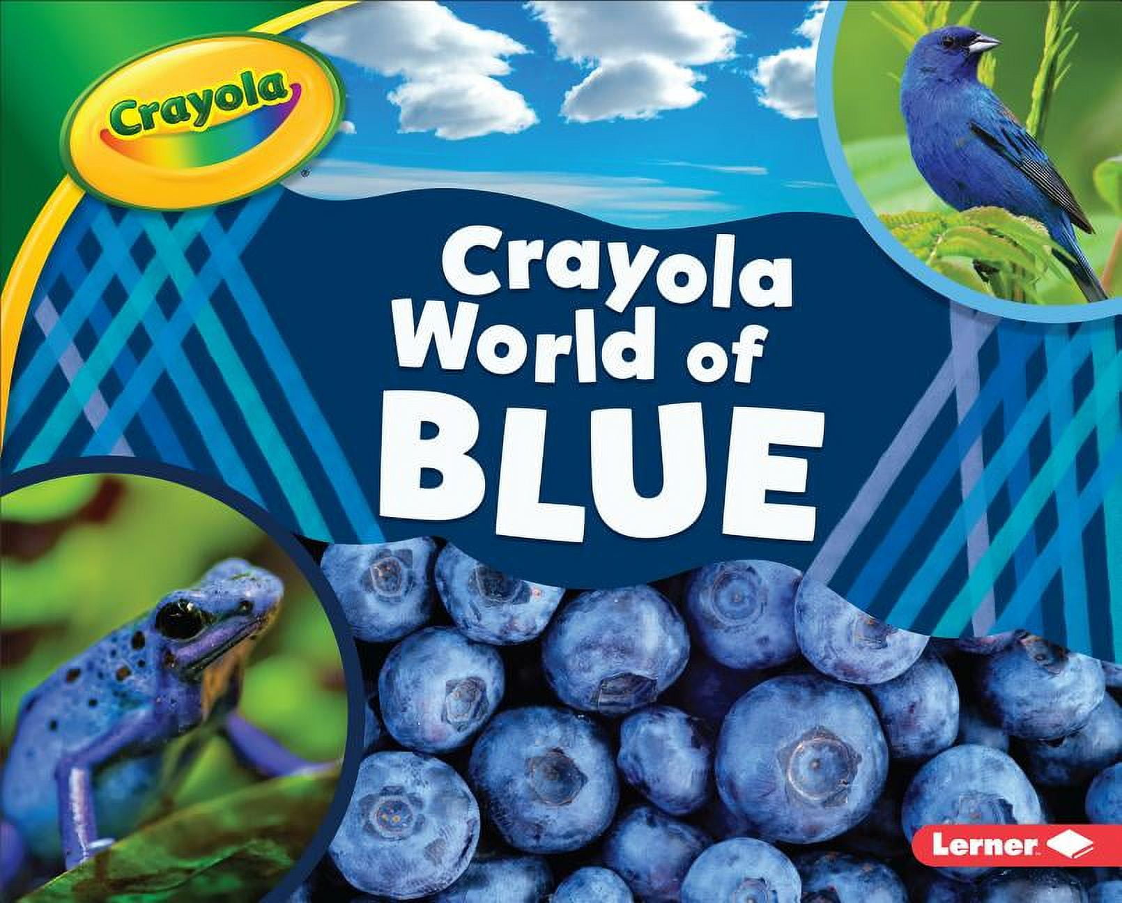 Mari C Schuh World of Blue Hardcover Book (Blue, 1 Count) qnhtf