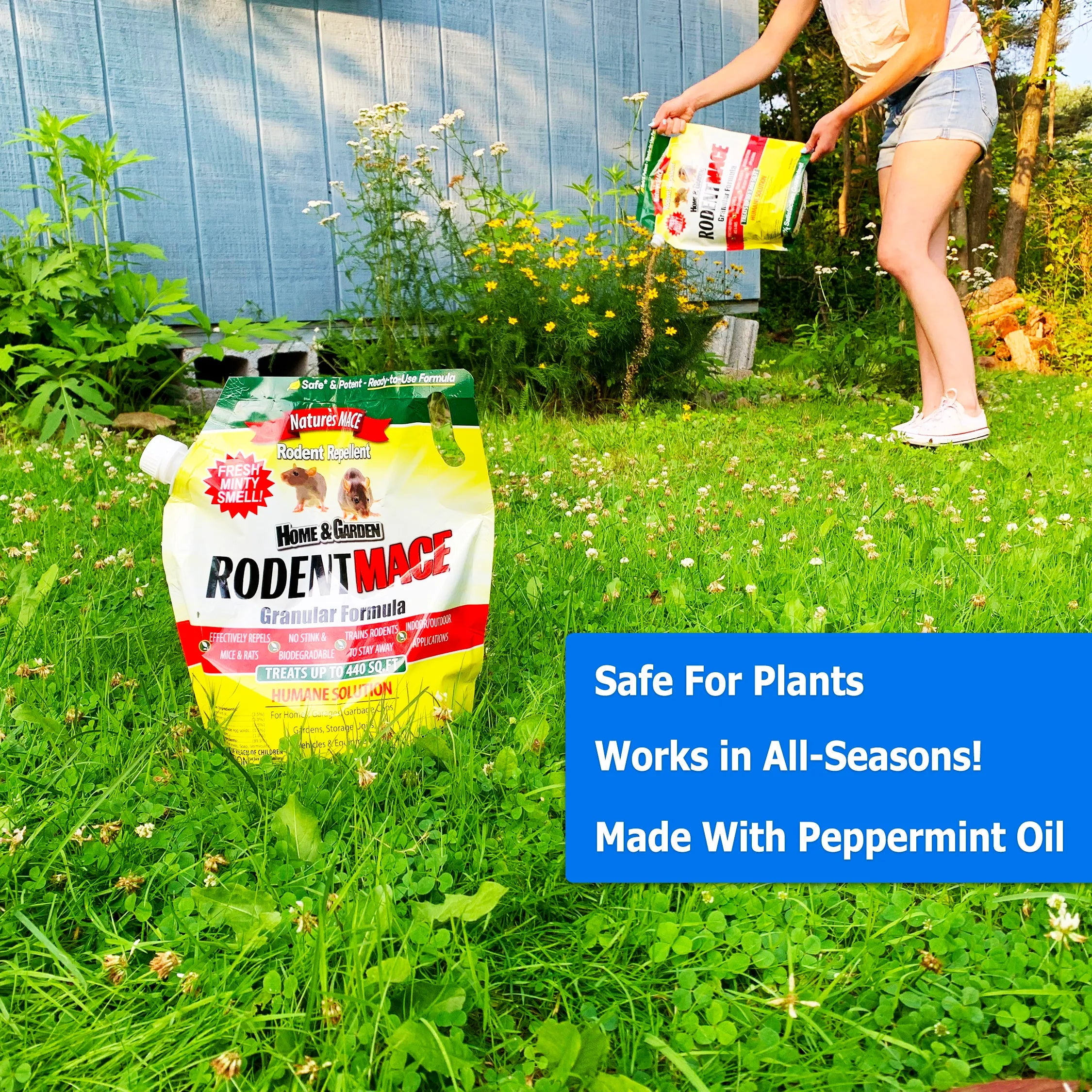 Nature's MACE Rodent Repellent Granular Formula for Mice Rats Squirrels and Chipmunks (6 lb) pgrhs