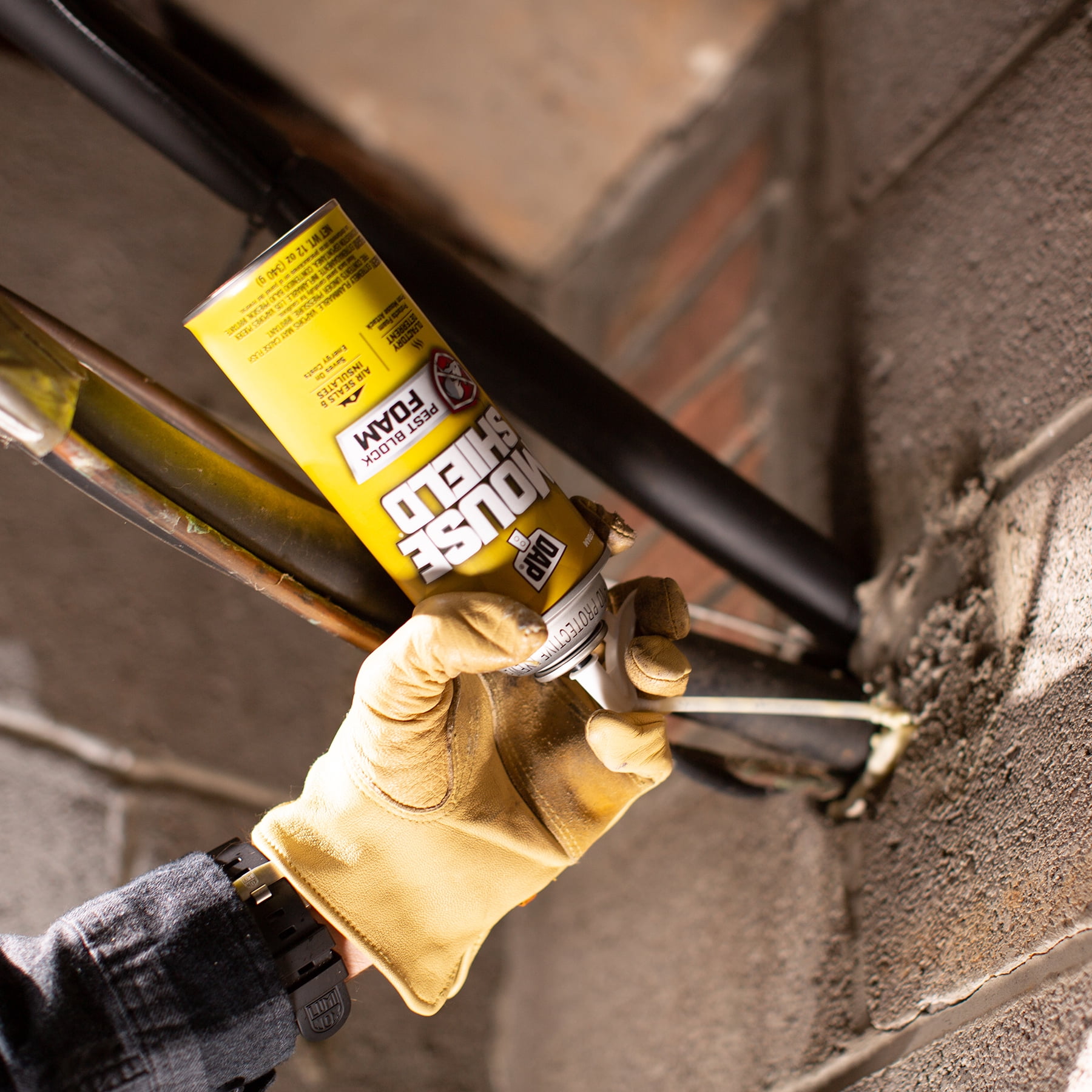 DAP Mouse Shield Foam Sealant and Blocker, Pest-Resistant Gap Filler (Off White, 12 oz) 2gcxe