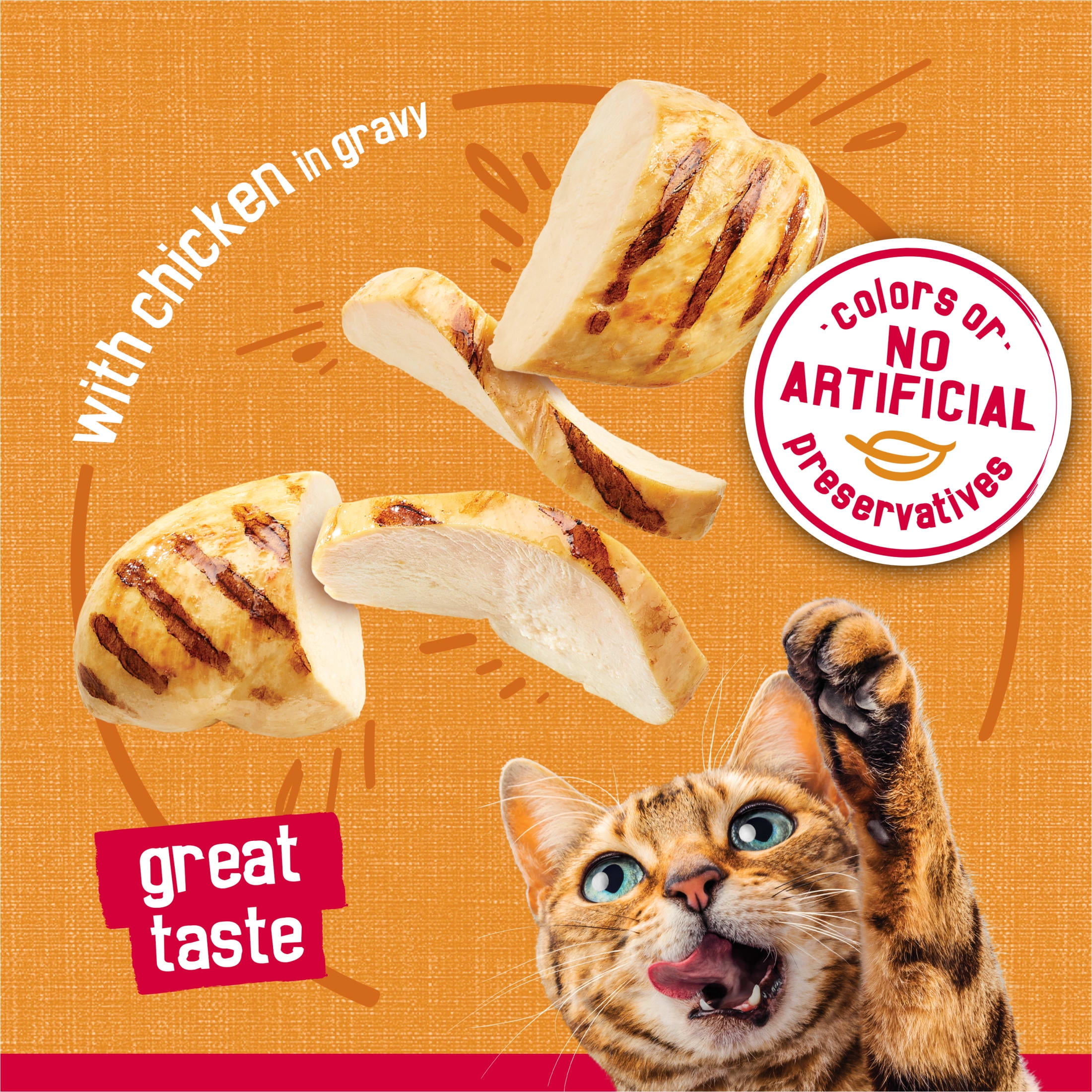 Friskies Prime Filets Wet Cat Food, Chicken in Gravy, Shredded Meaty Chunks (12 Pack, 5.5 oz) 3cswj
