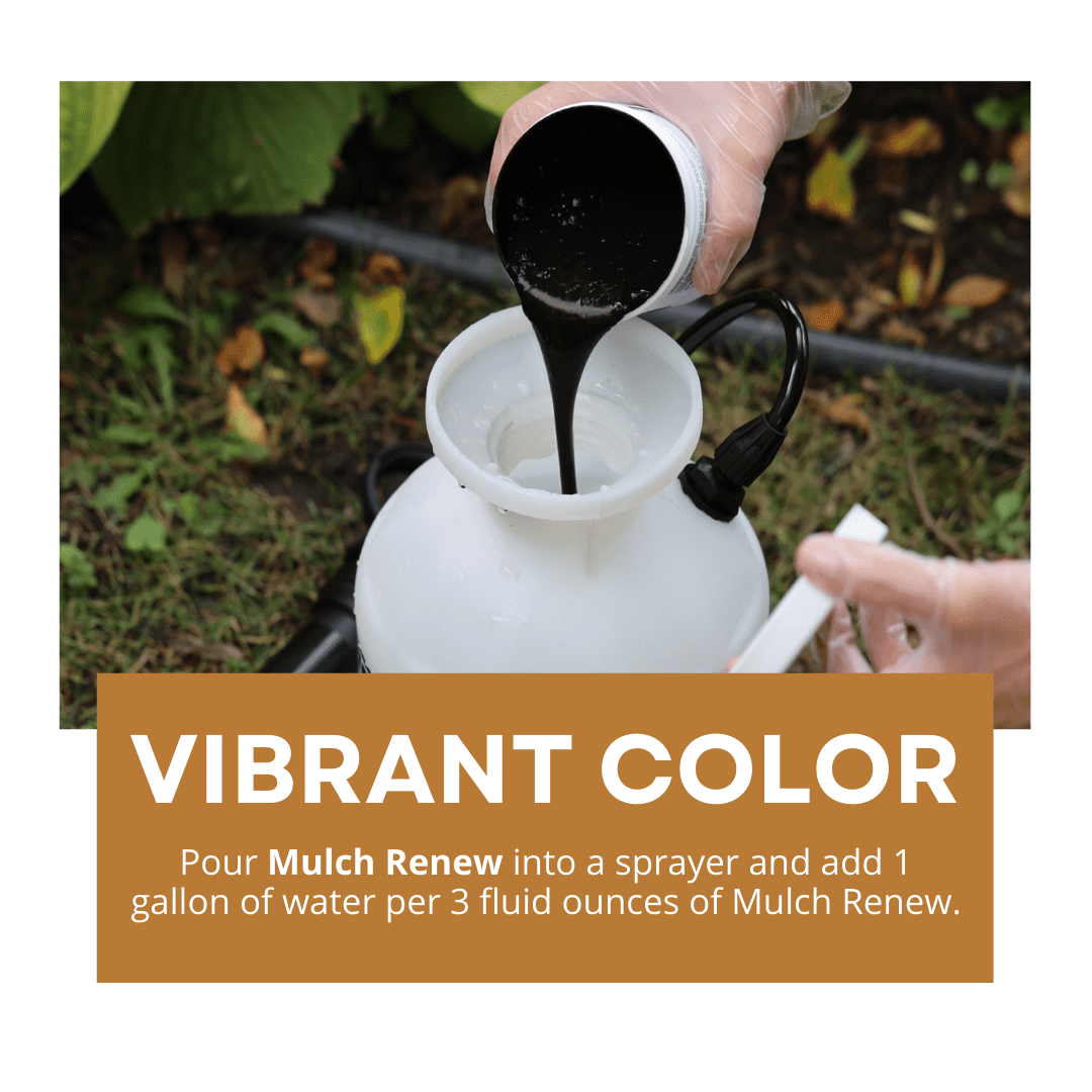NorthRock Mulch Renew Gold Colorant for Shredded Bark and Acacia Wood (Gold, 12 oz) tjnuv