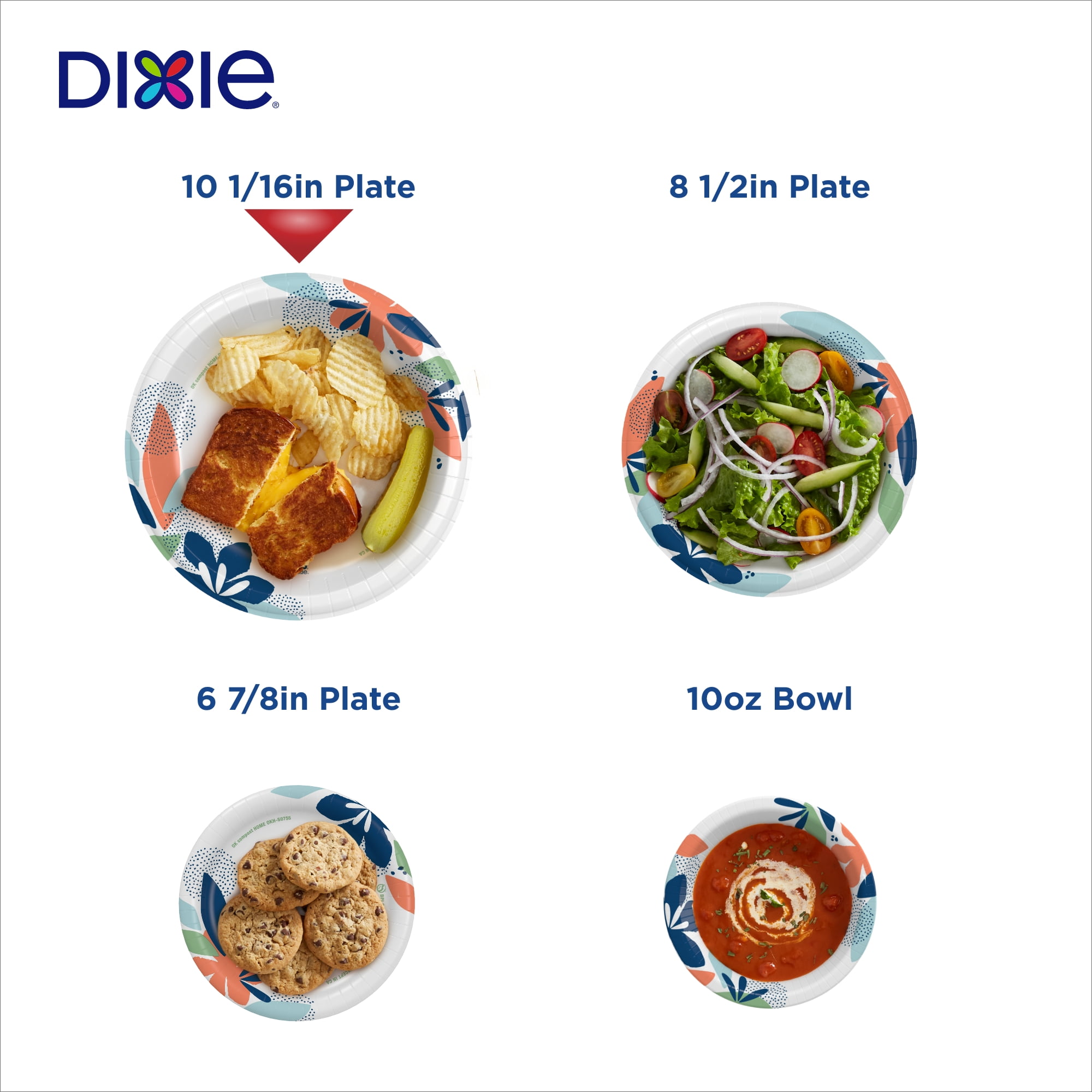 Dixie Disposable Paper Plates, Heavy-Duty Soak-Proof Design (Multi-Color, 100 Count, 10 in) 9skw5