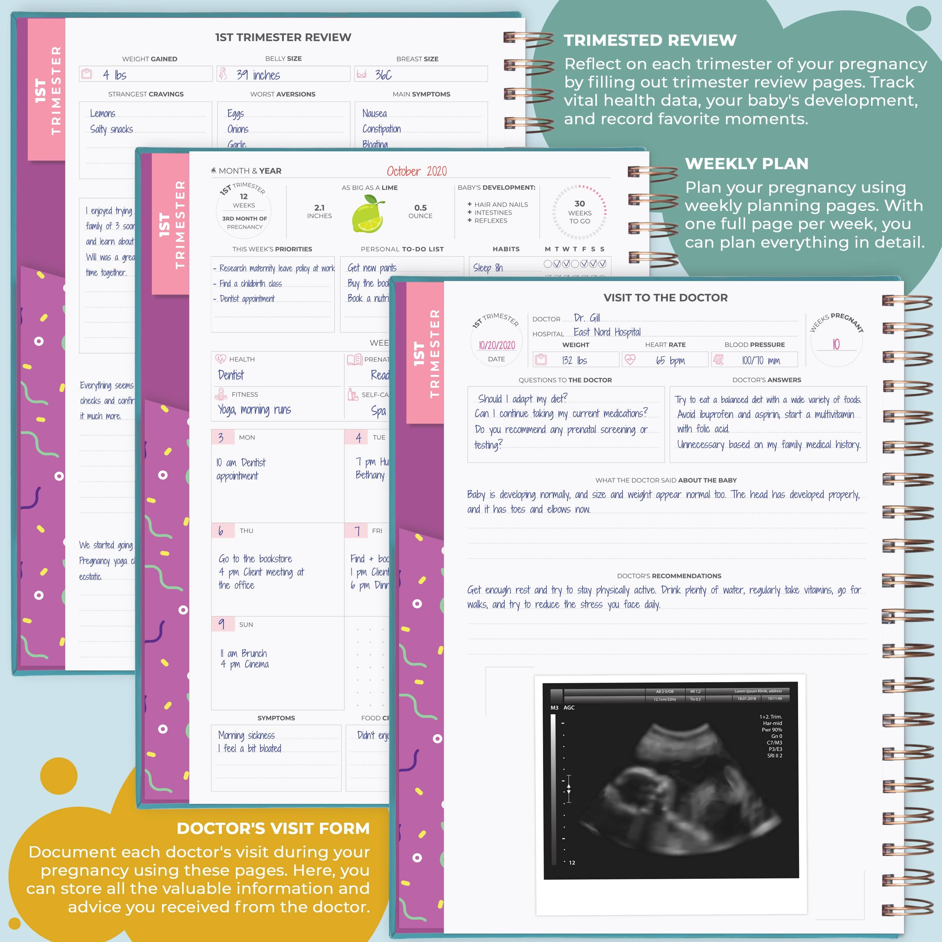 Clever Fox Pregnancy Planner & Memory Book (8.5 in x 10.5 in) vm0dq