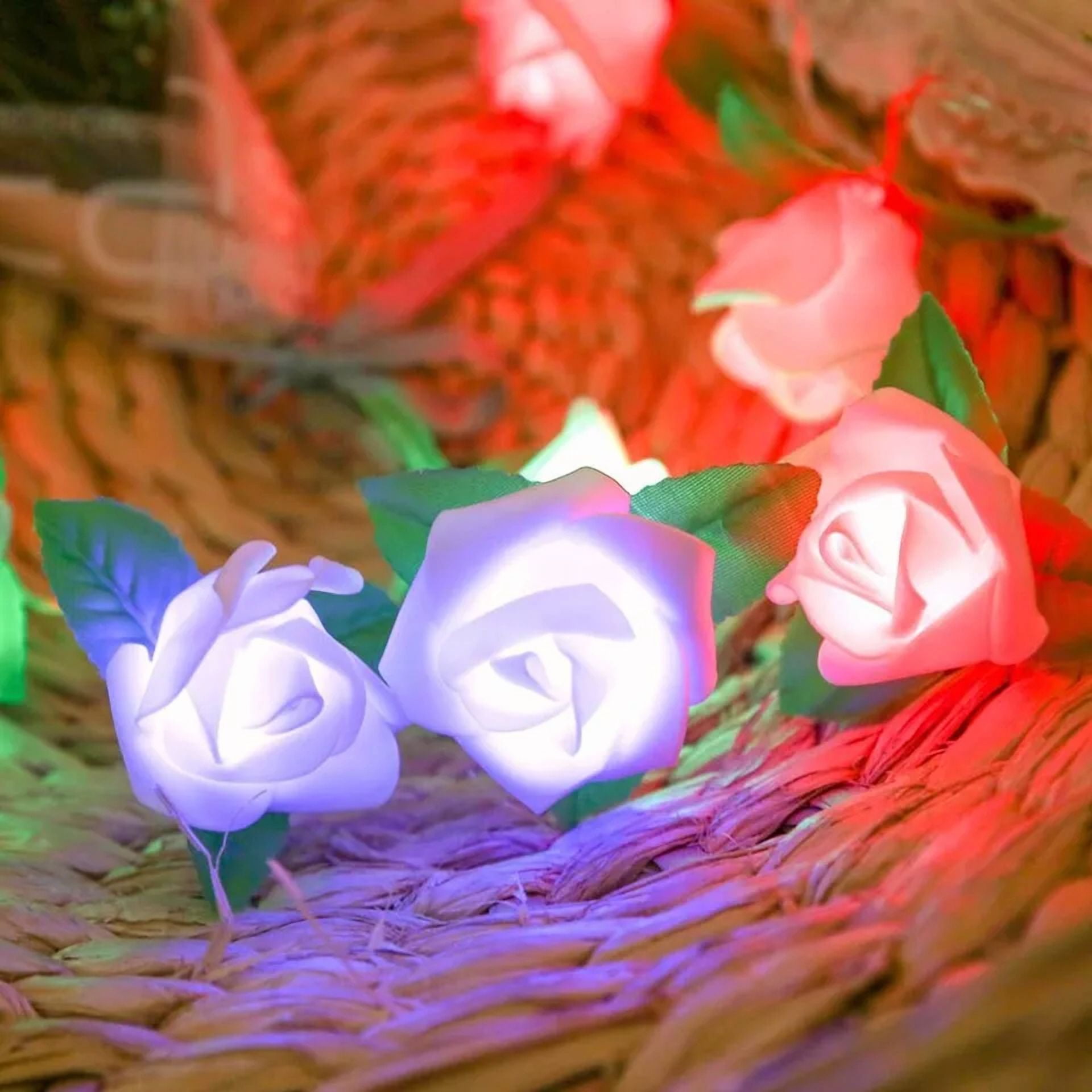 PURELY 20 LED Rose Flower String Lights Decorative Fairy Lighting for Wedding Party and Garden (Warm White, 7 ft) dlo4g