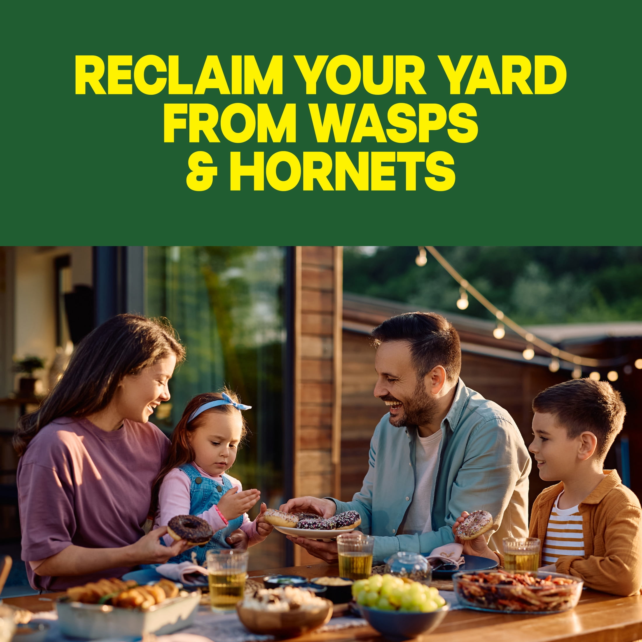 Raid Wasp and Hornet Killer 33 Outdoor Insecticide Spray (2 Pack, 14 oz each) 3e5kk