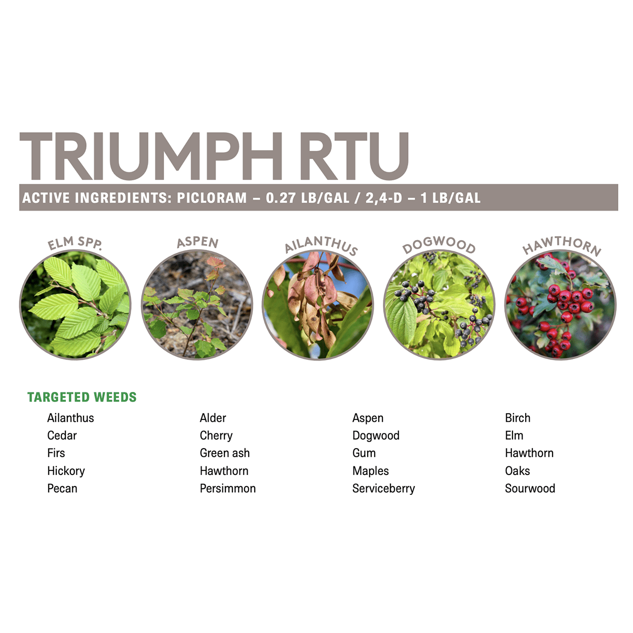 Alligare Triumph RTU Herbicide for Woody Plant Control (32 fl oz) or7p8