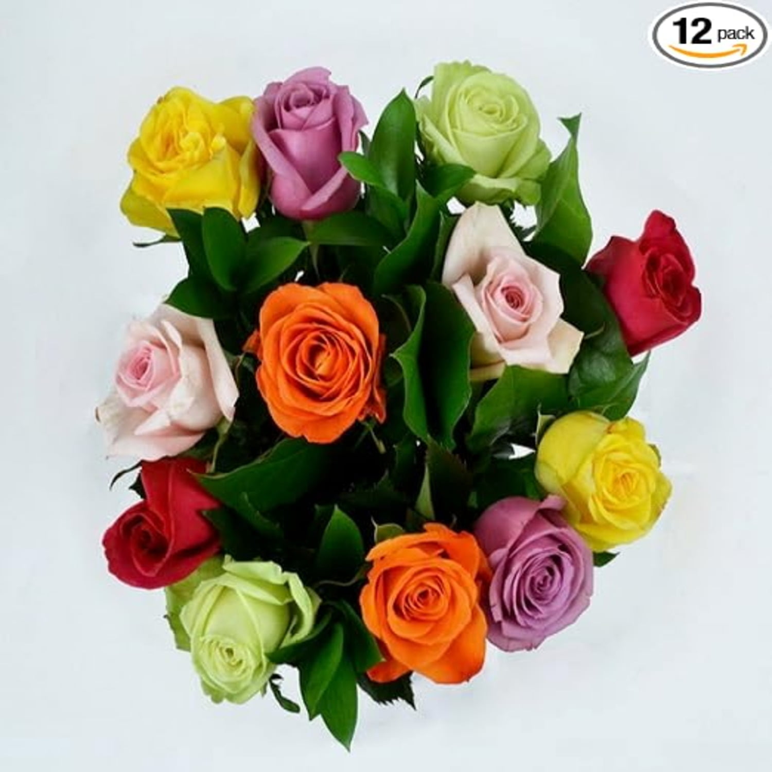 KaBloom Fresh Cut Roses Bouquet with Decorative Vase (Assorted Colors, 12 Count) rowqc