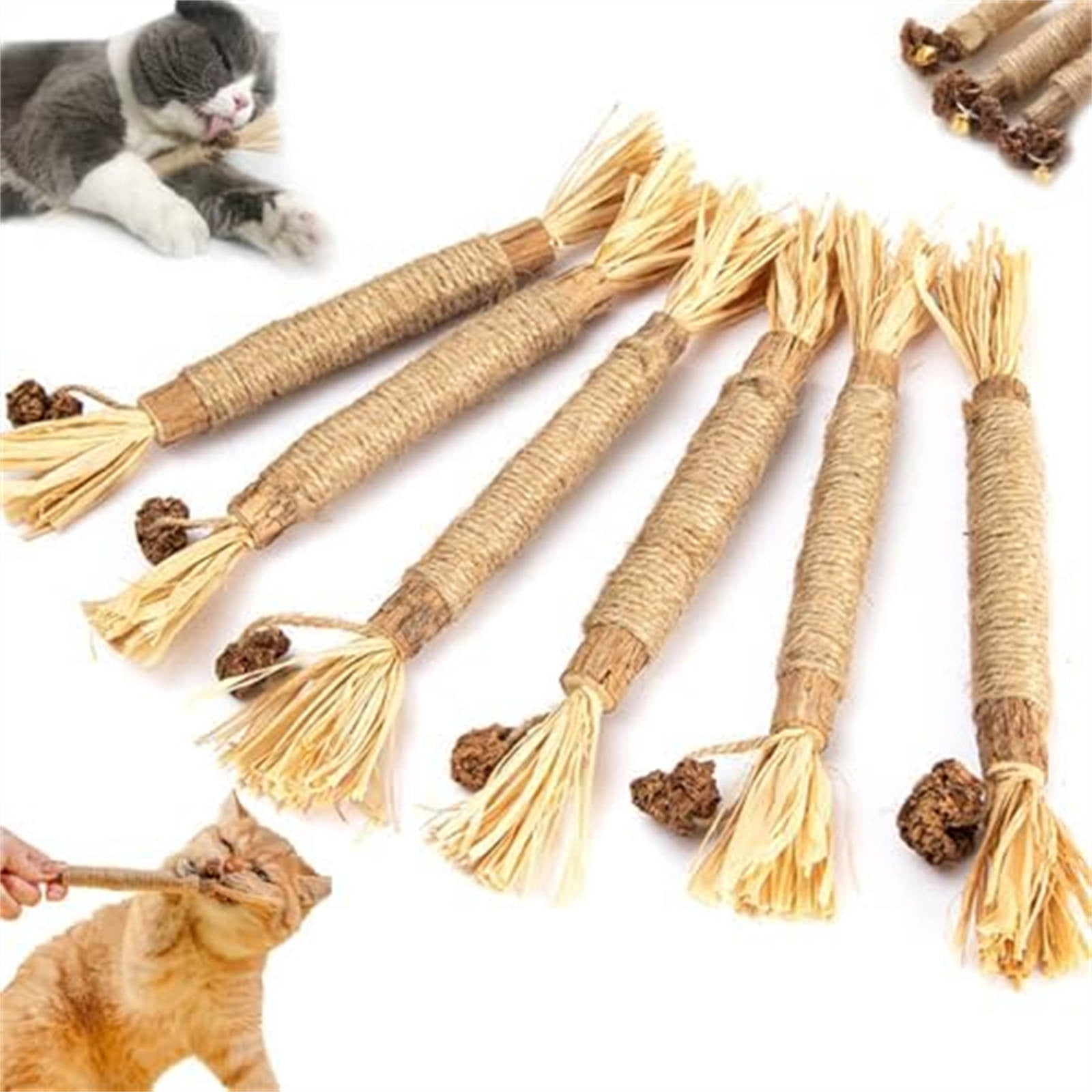 Holloyiver Natural Silvervine Sticks Cat Dental Chew Toy for Teeth Cleaning (5 Pack) 7k8vc