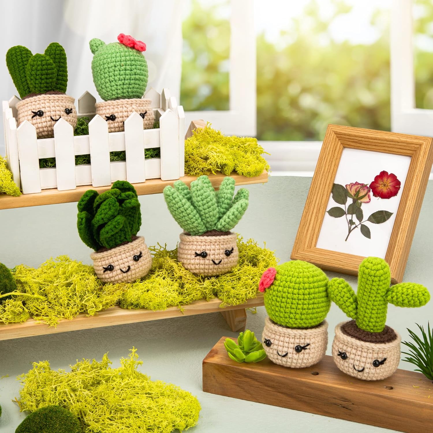 Xinyi Crochet Kit for Beginners Adults (6 Pcs Succulent Plants, DIY Craft Activity Set) 9zqa7