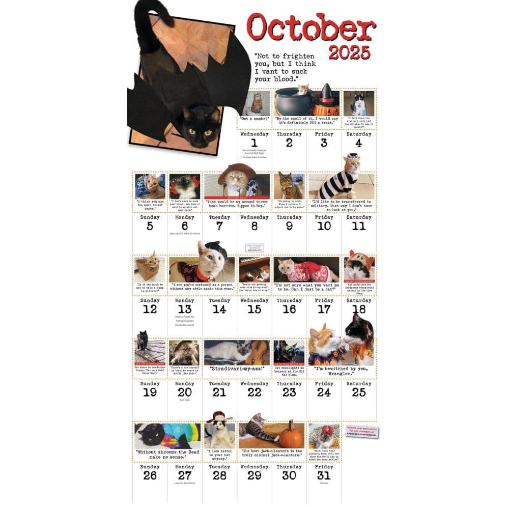 Harry Prichett Bad Cat Wall Calendar 2025: Celebrating the Misfits of the Feline World (12 in x 12 in) wez86